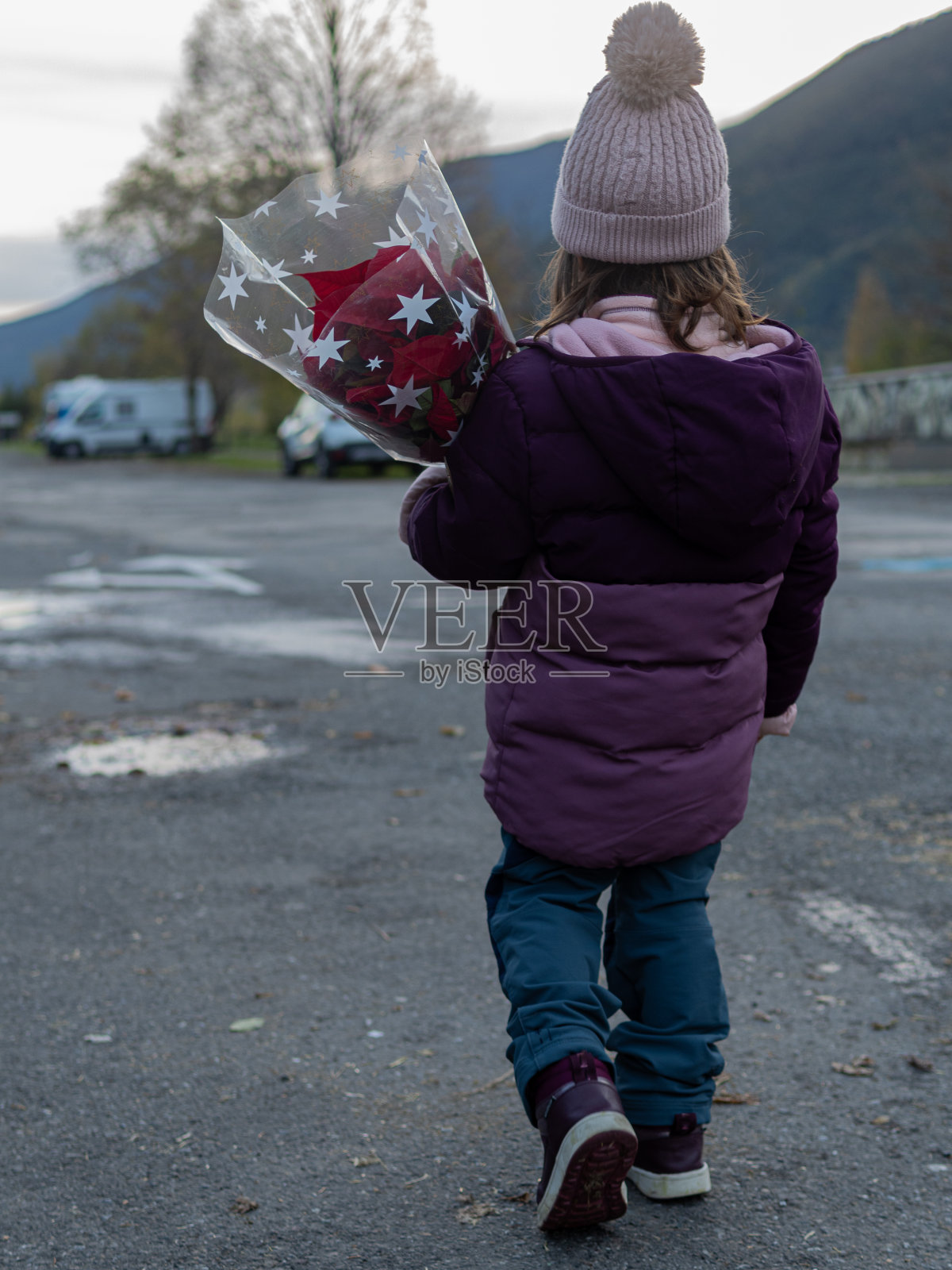 小女孩抱着一品红走着。圣诞节。冬天。冷照片摄影图片