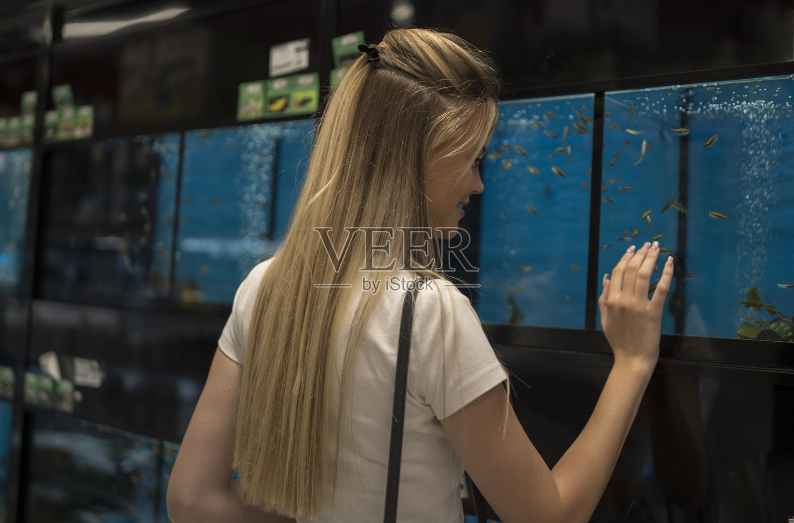 一名妇女在宠物店寻找观赏鱼的画像照片摄影图片