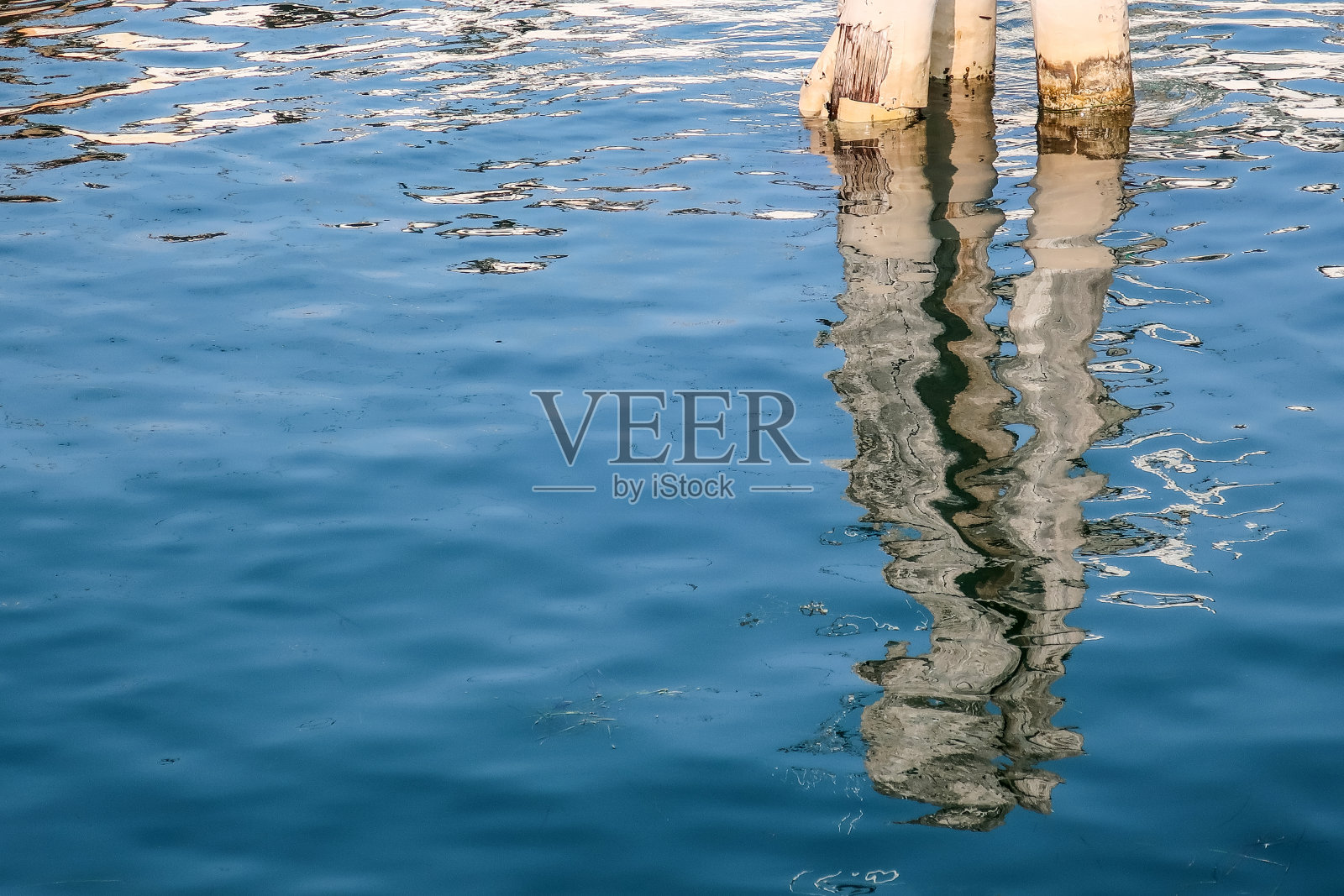 木系泊在海中的倒影照片摄影图片