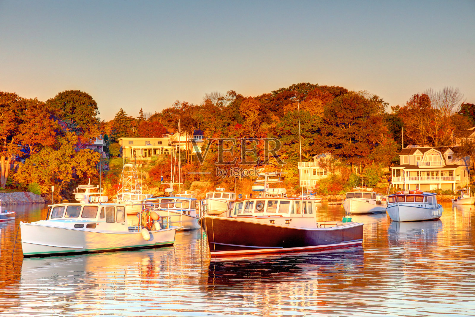 缅因州奥根奎特的秋天照片摄影图片