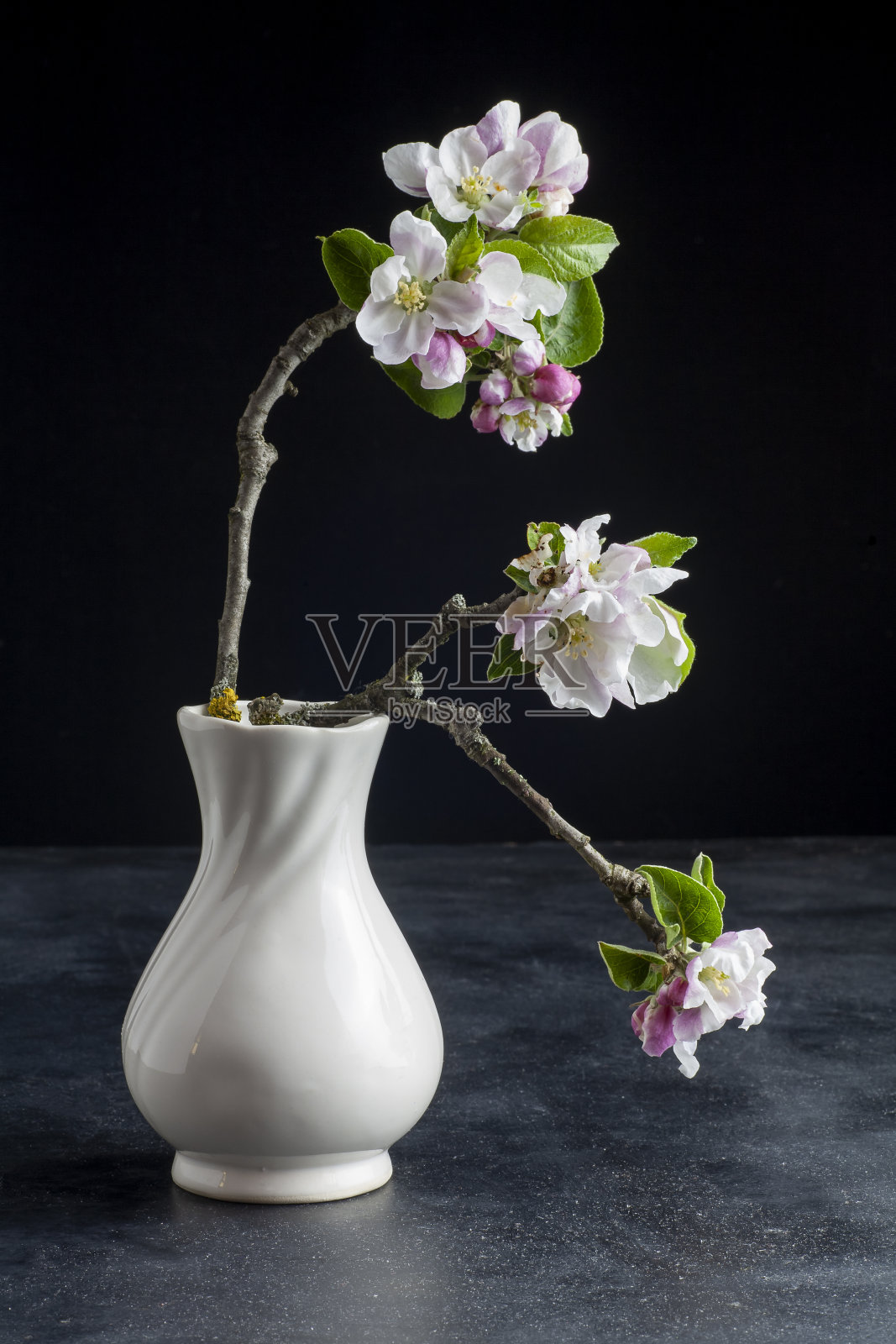 桌子上有一个白色的花瓶，里面有一枝插着苹果花的树枝。照片摄影图片