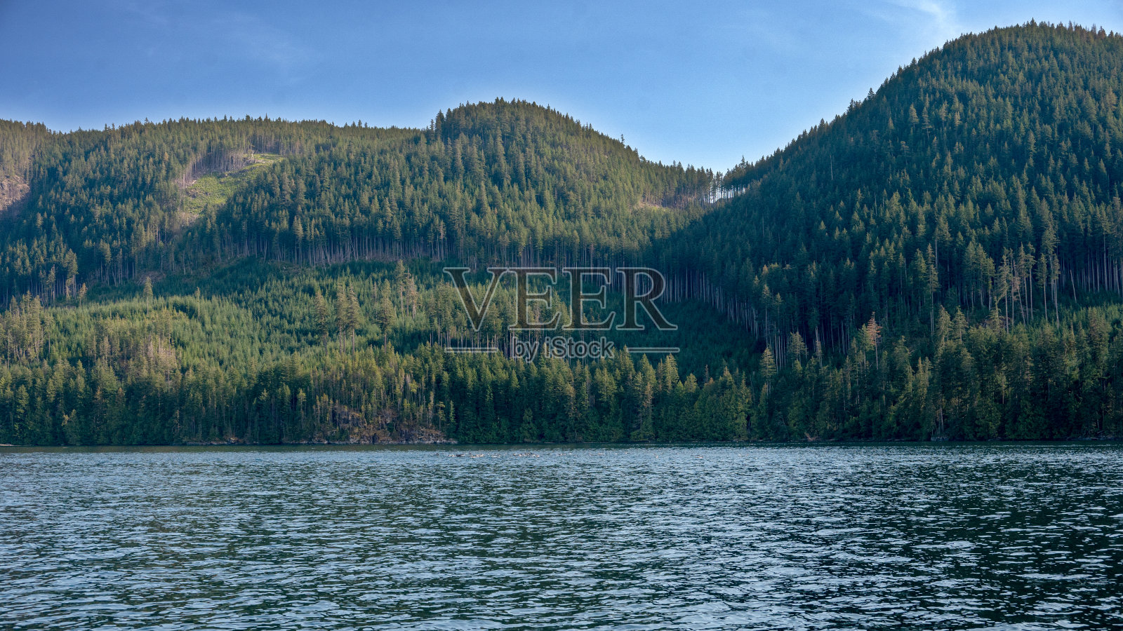 海岸线照片摄影图片