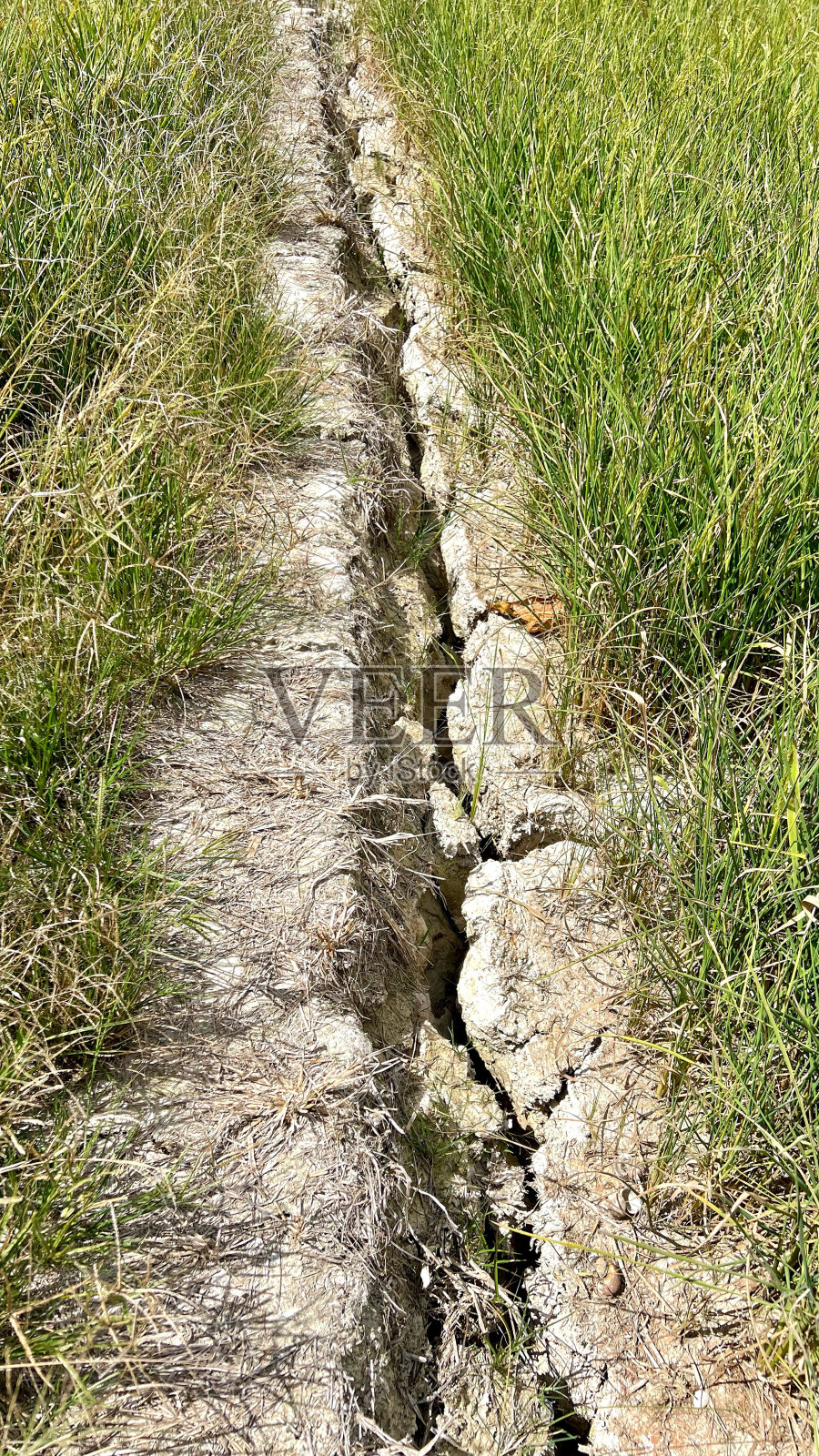干旱照片摄影图片