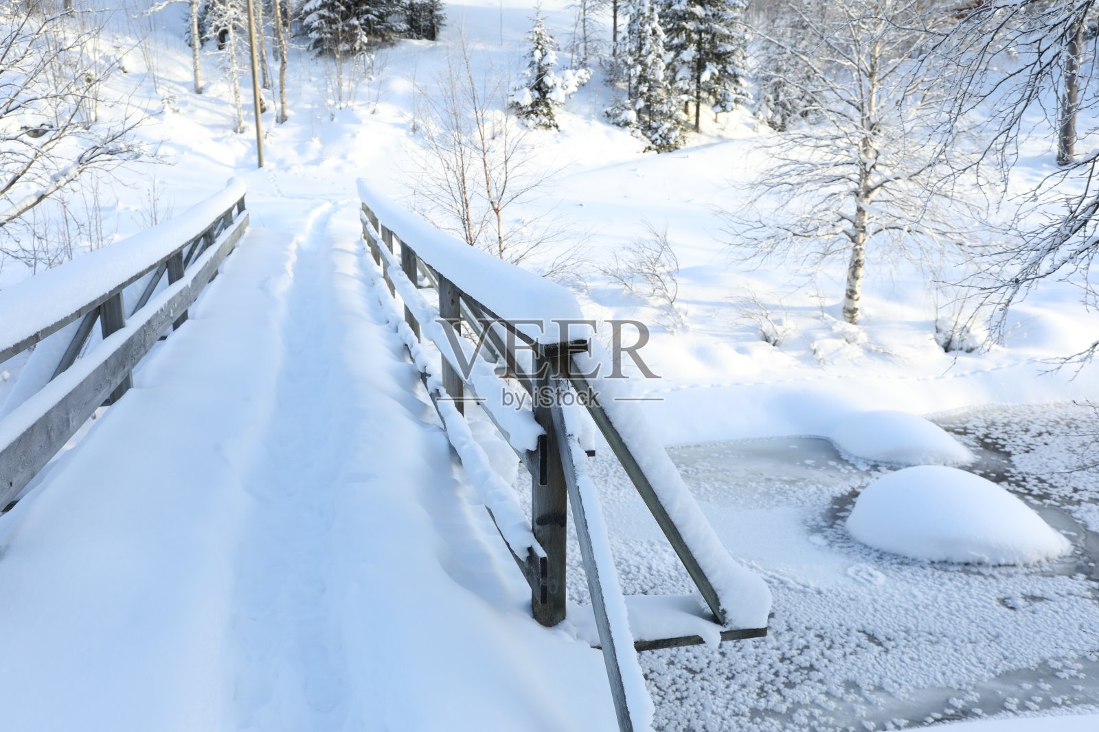 美丽的栏杆，树木和灌木丛在冬天的一天覆盖着雪照片摄影图片
