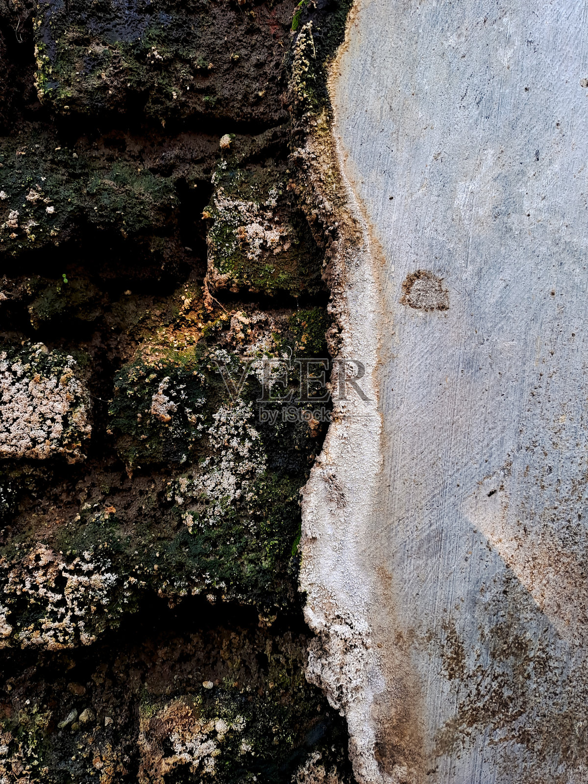 裂缝的墙壁上常常覆盖着绿色的苔藓。这是因为苔藓能够在裂缝中经常发现的潮湿条件下茁壮成长照片摄影图片