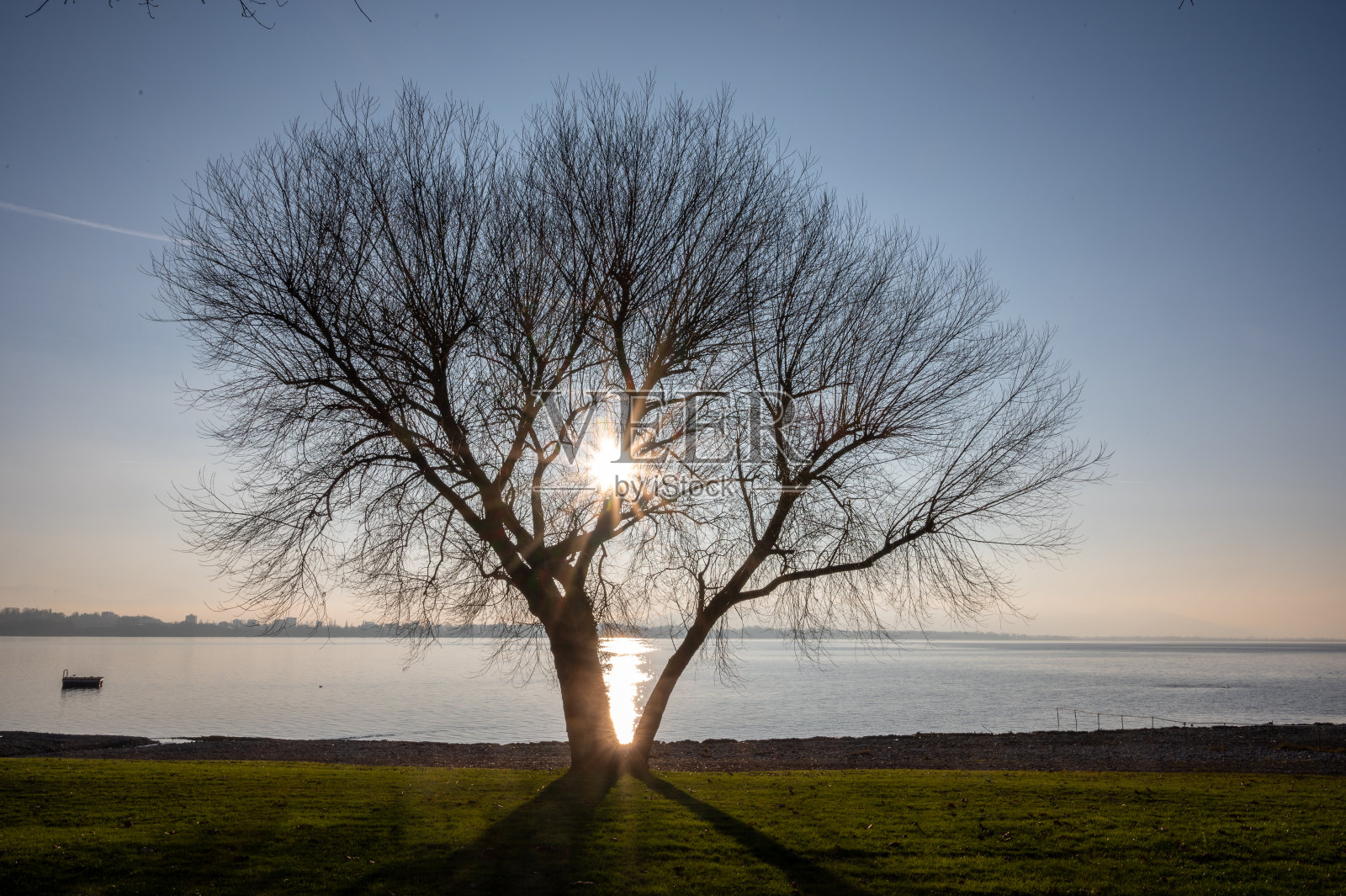 桑尼照片摄影图片