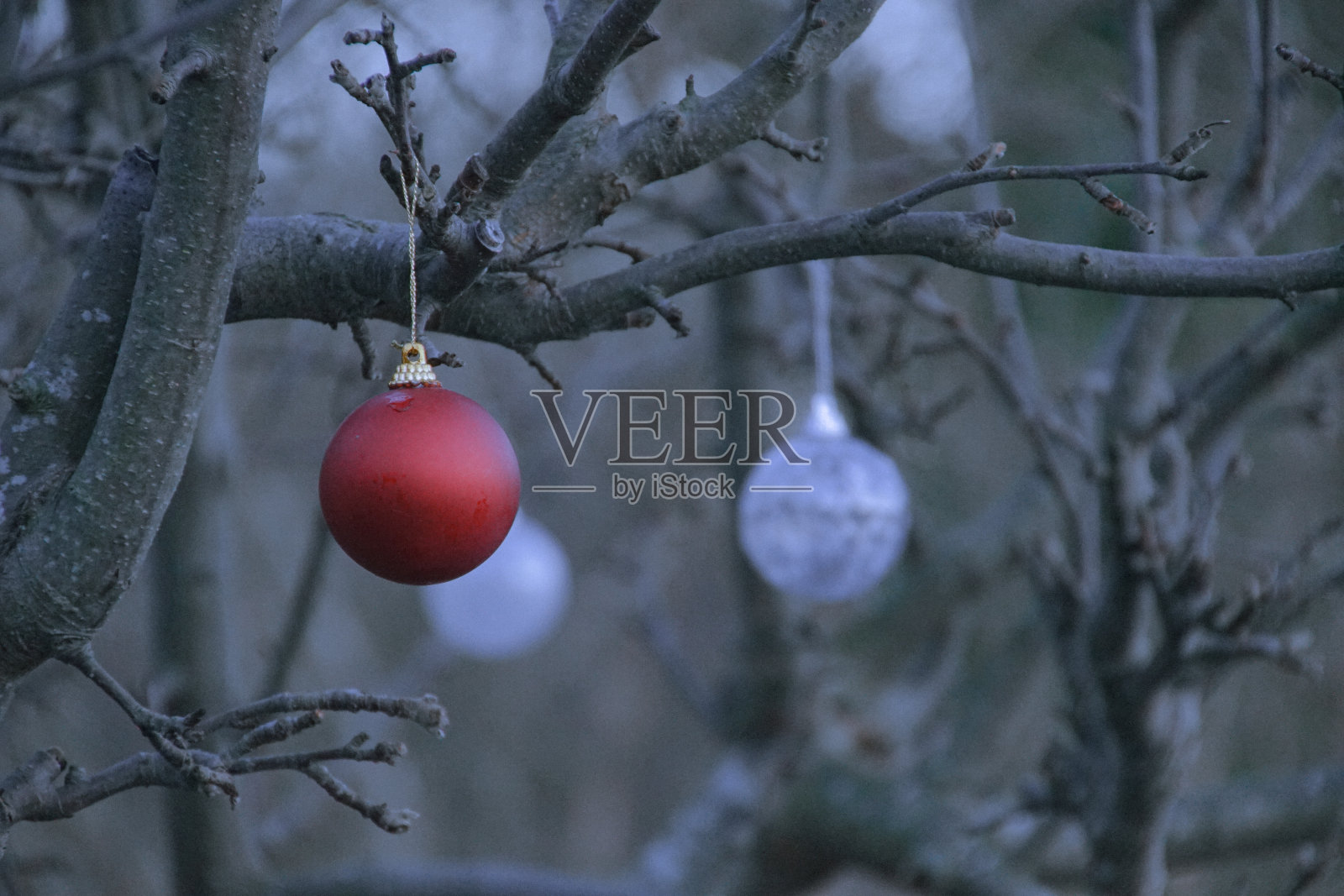 挂在树上的圣诞装饰特写照片摄影图片