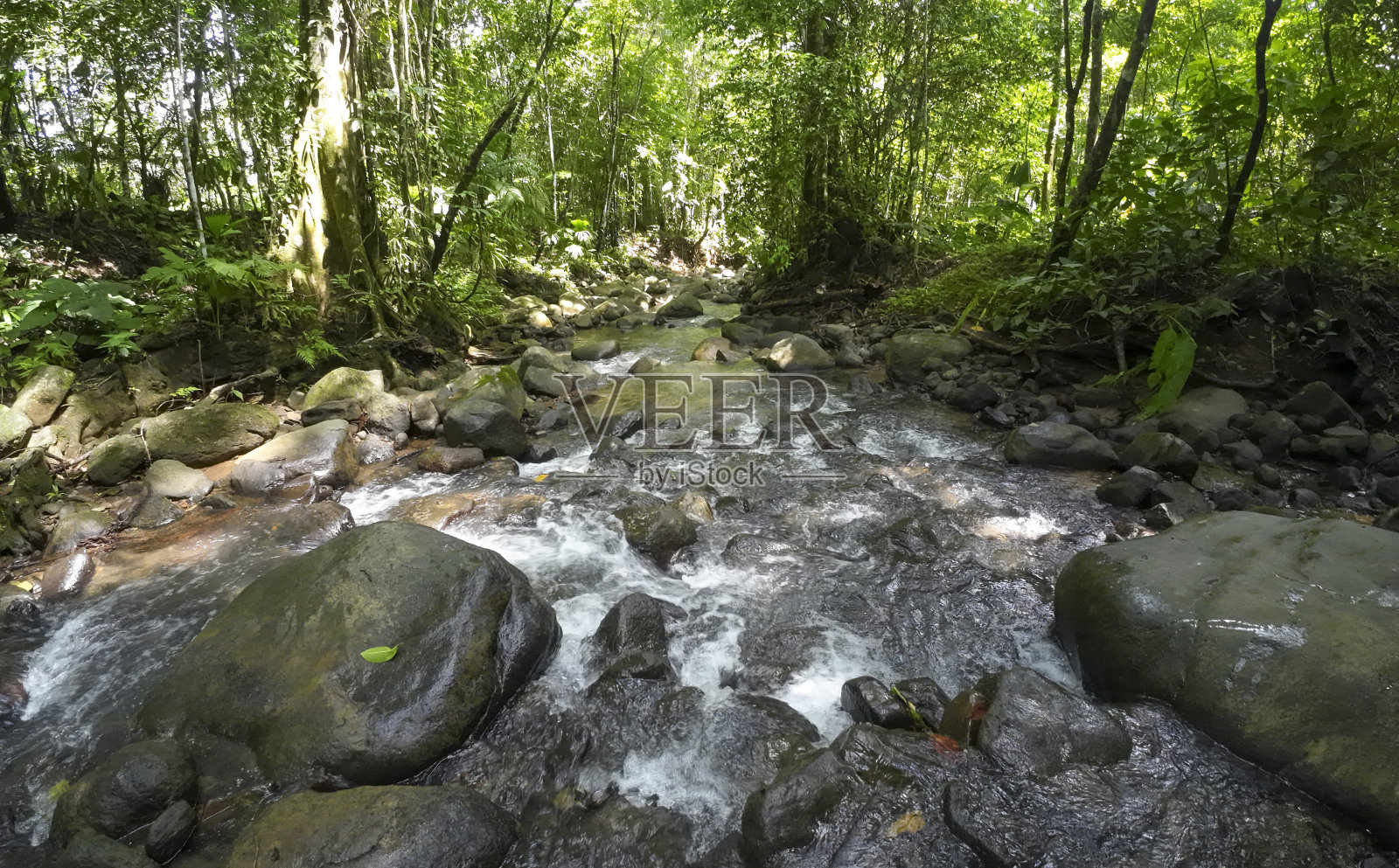 在哥斯达黎加丛林的河床上轻轻荡漾的瀑布照片摄影图片