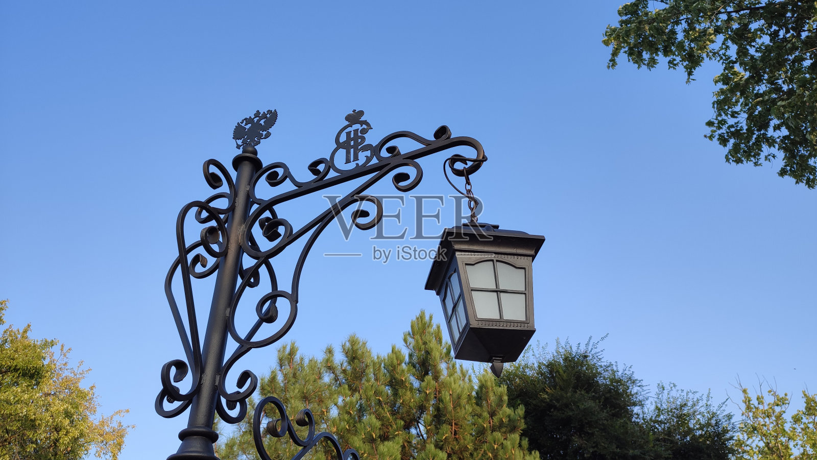 公园照片摄影图片