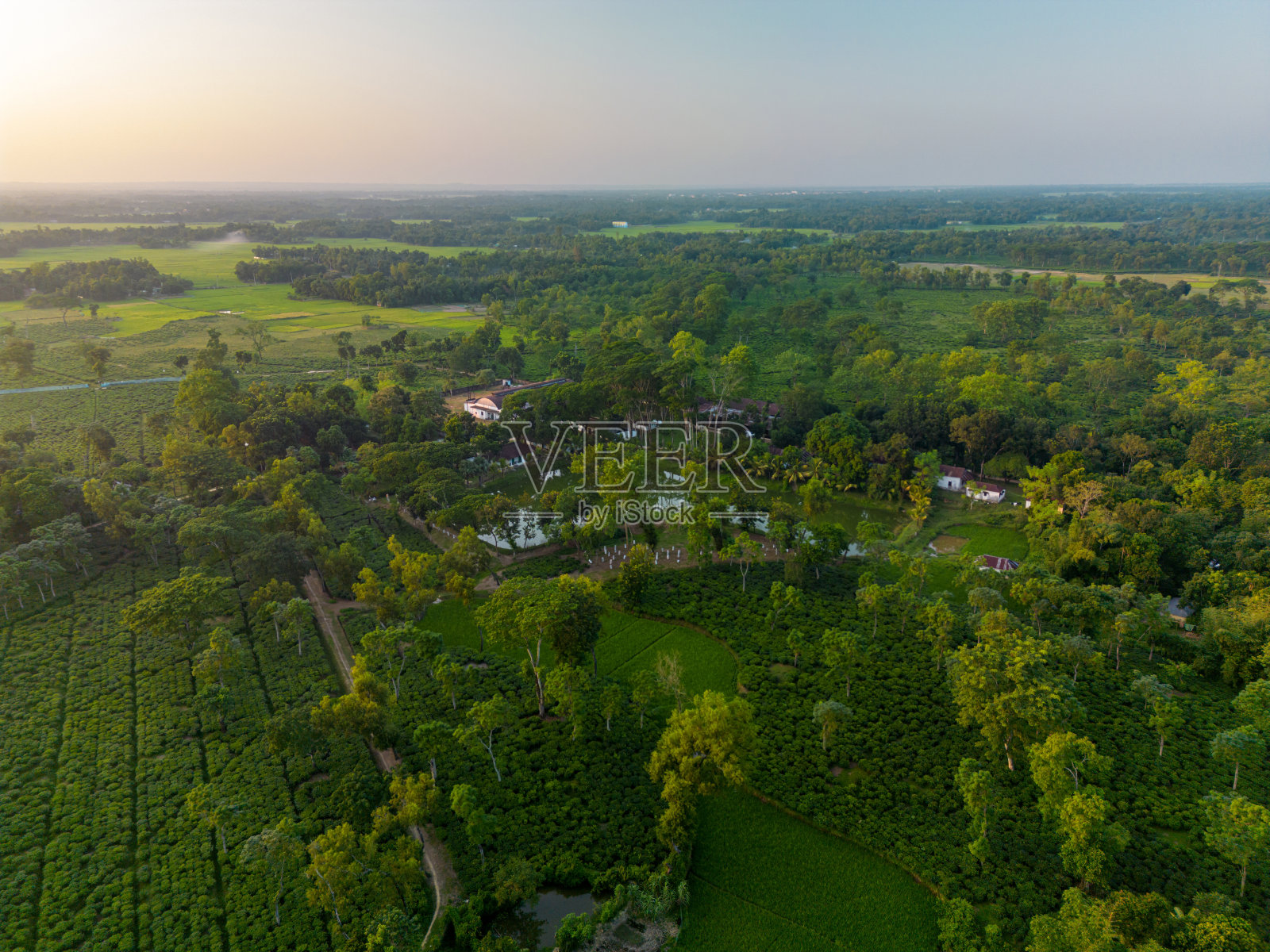 秋天的葡萄园，葡萄园的景色照片摄影图片