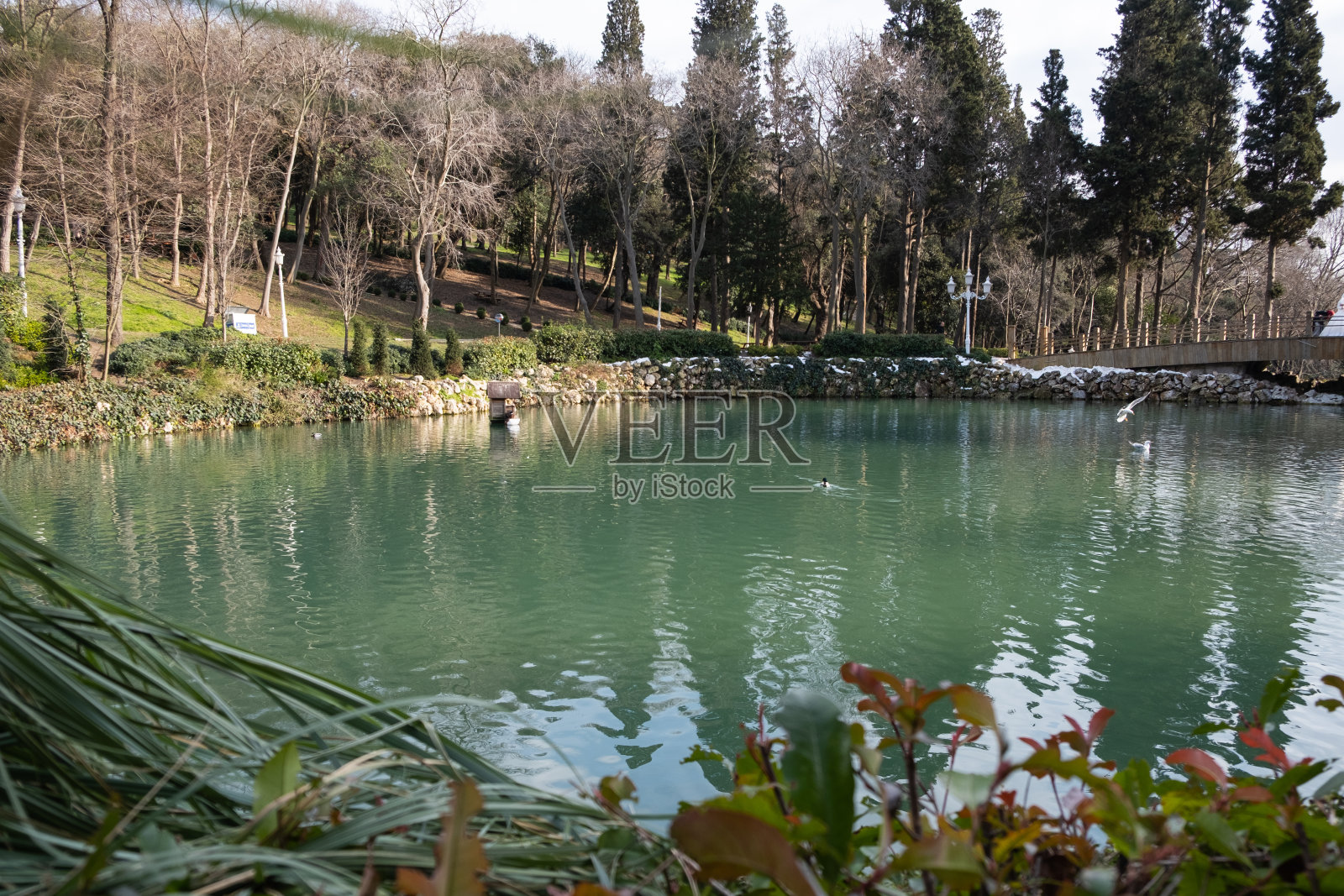 土耳其伊斯坦布尔伊尔兹公园湖泊的漂亮照片照片摄影图片