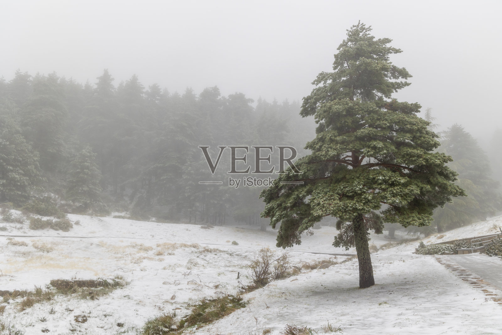 西班牙马德里瓜达拉马山迎来2023年的第一场雪照片摄影图片