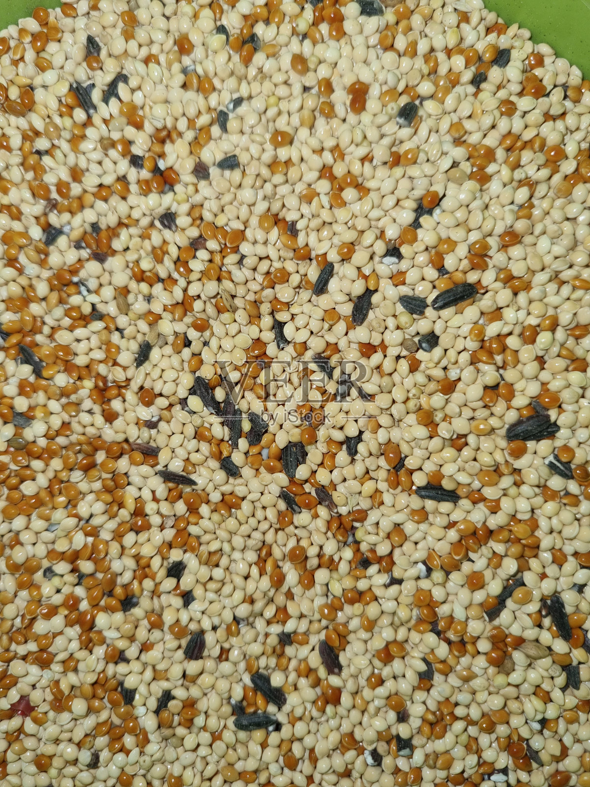 种子照片摄影图片