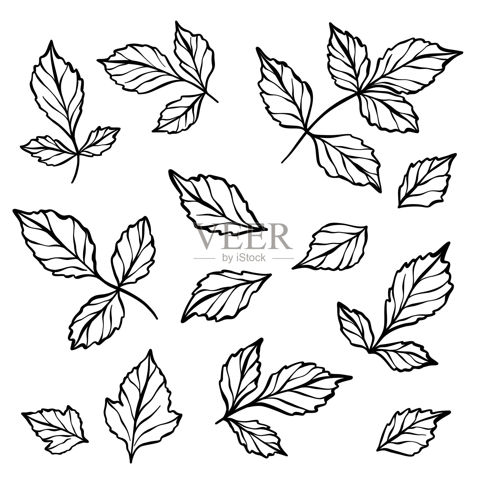 手绘矢量树叶，树叶元素插图集，植物线条艺术装饰插画图片素材