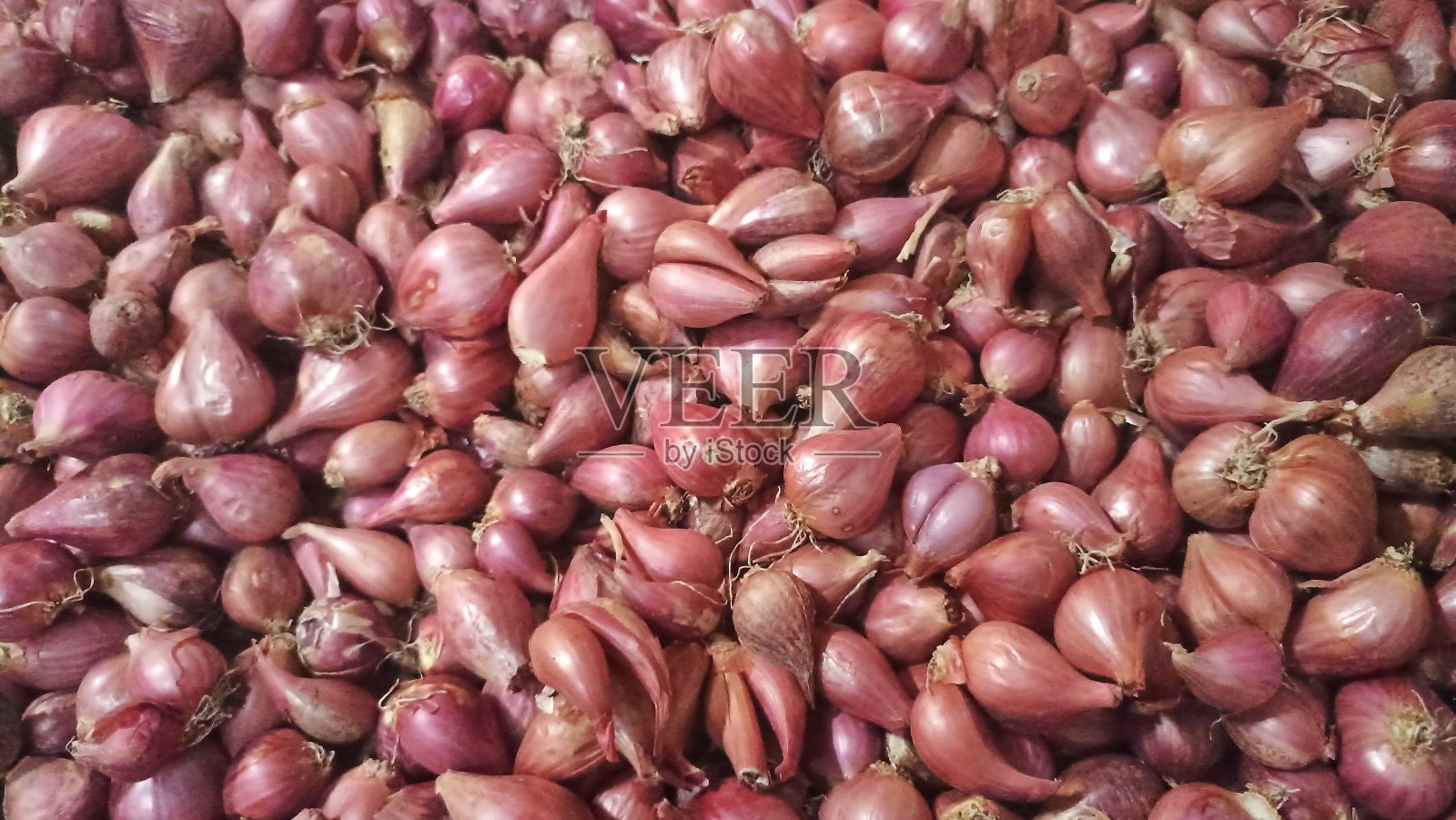 葱一组照片摄影图片