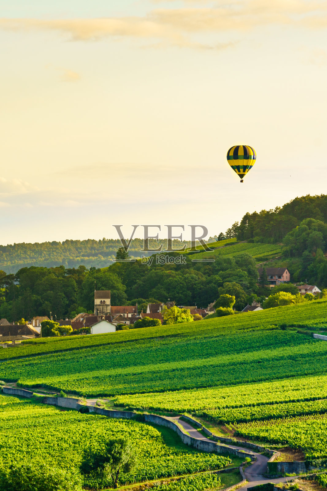 法国Pommard地区的热气球之旅照片摄影图片
