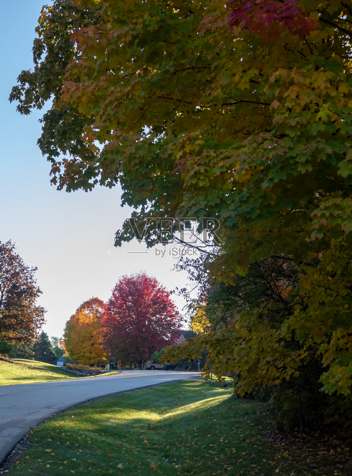 Otono照片摄影图片
