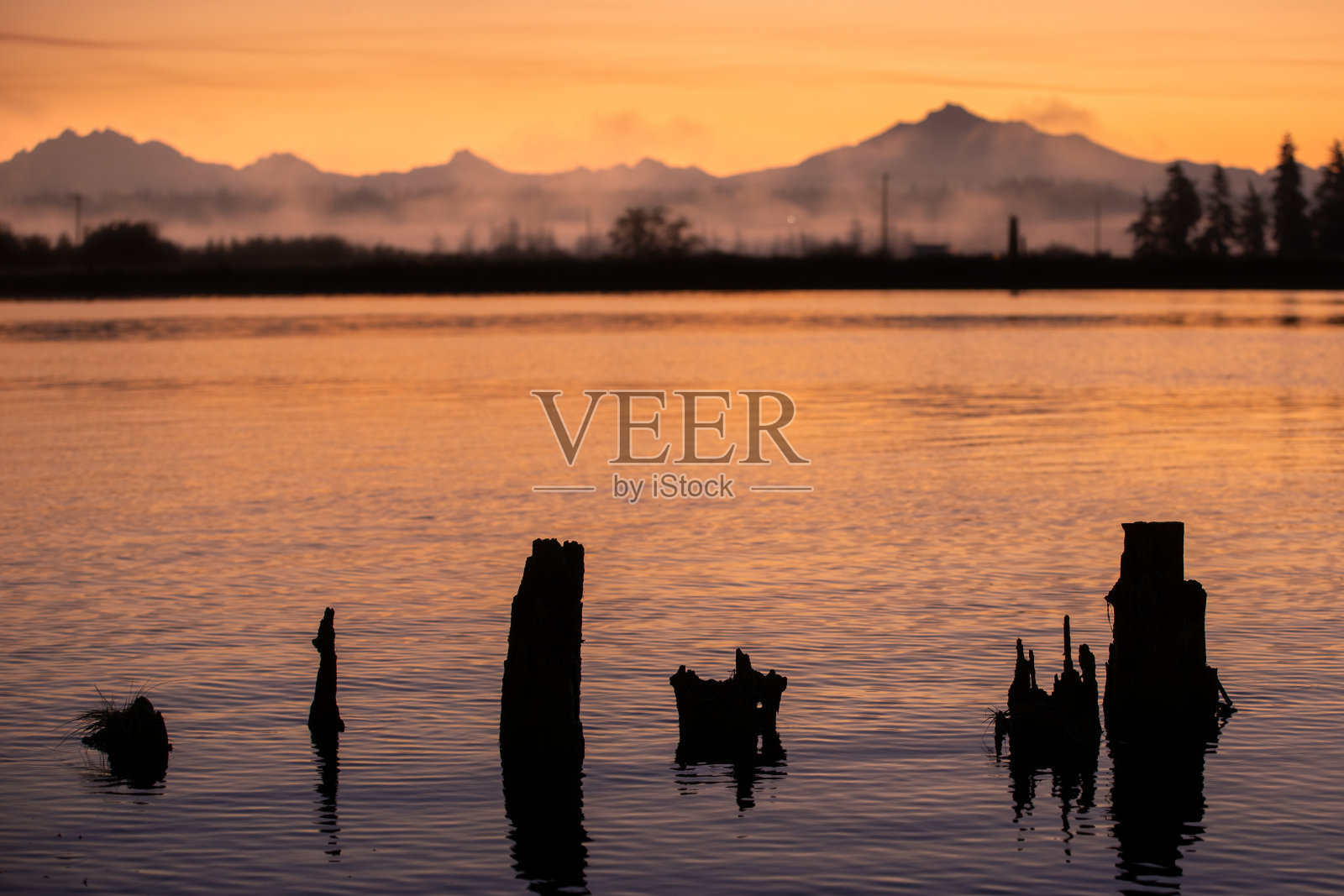 斯诺霍米什河三角洲的黎明照片摄影图片