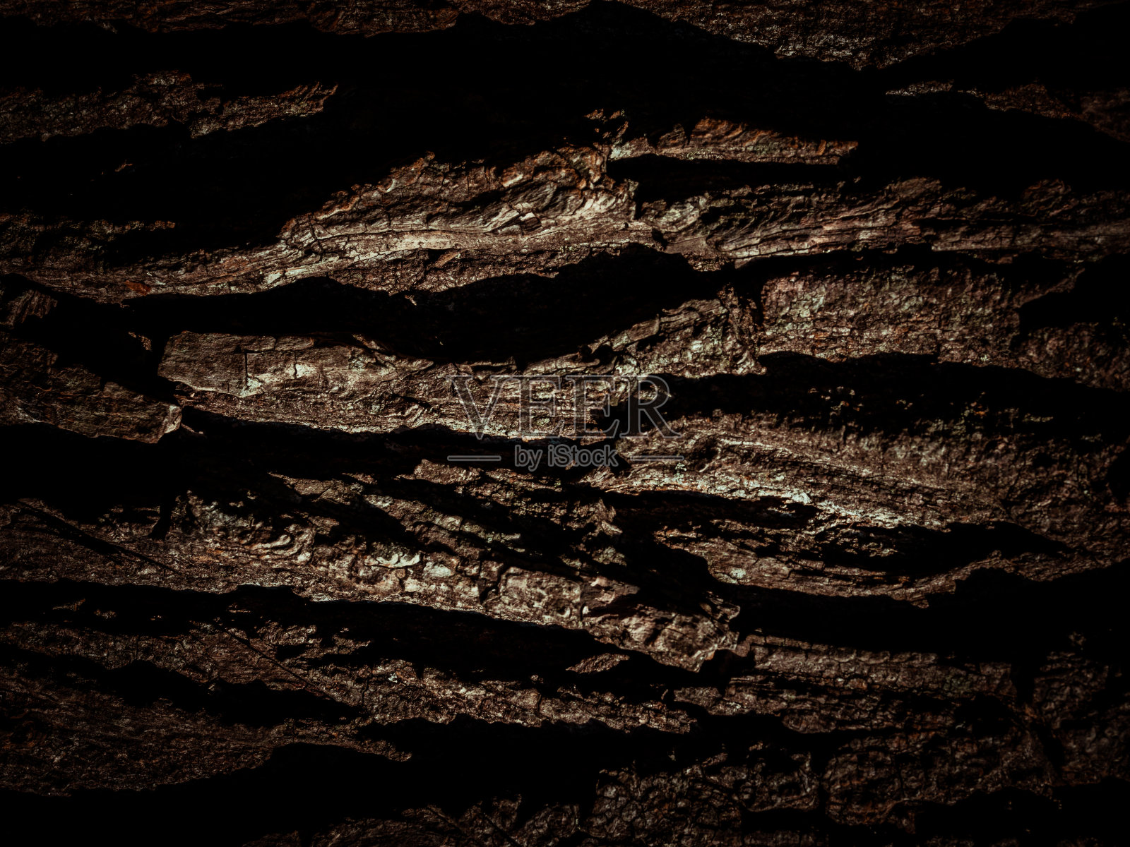 天然树皮，背景，纹理。照片摄影图片