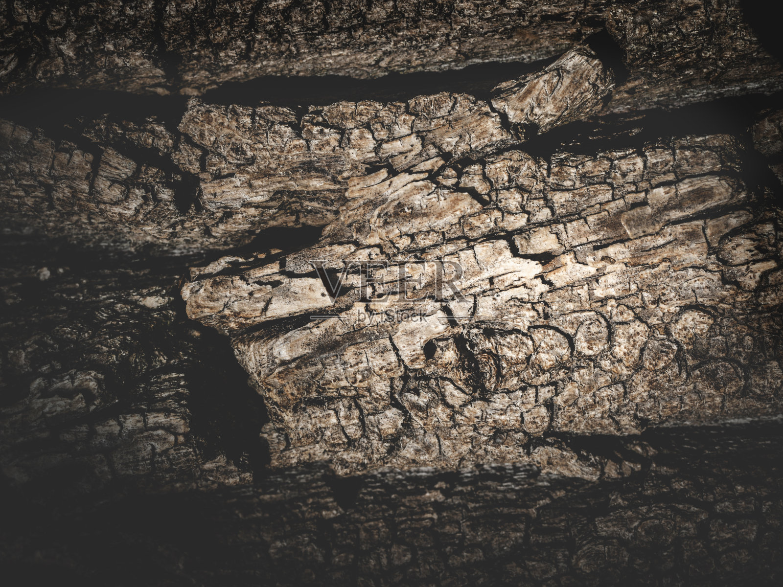 天然树皮，背景，纹理。照片摄影图片