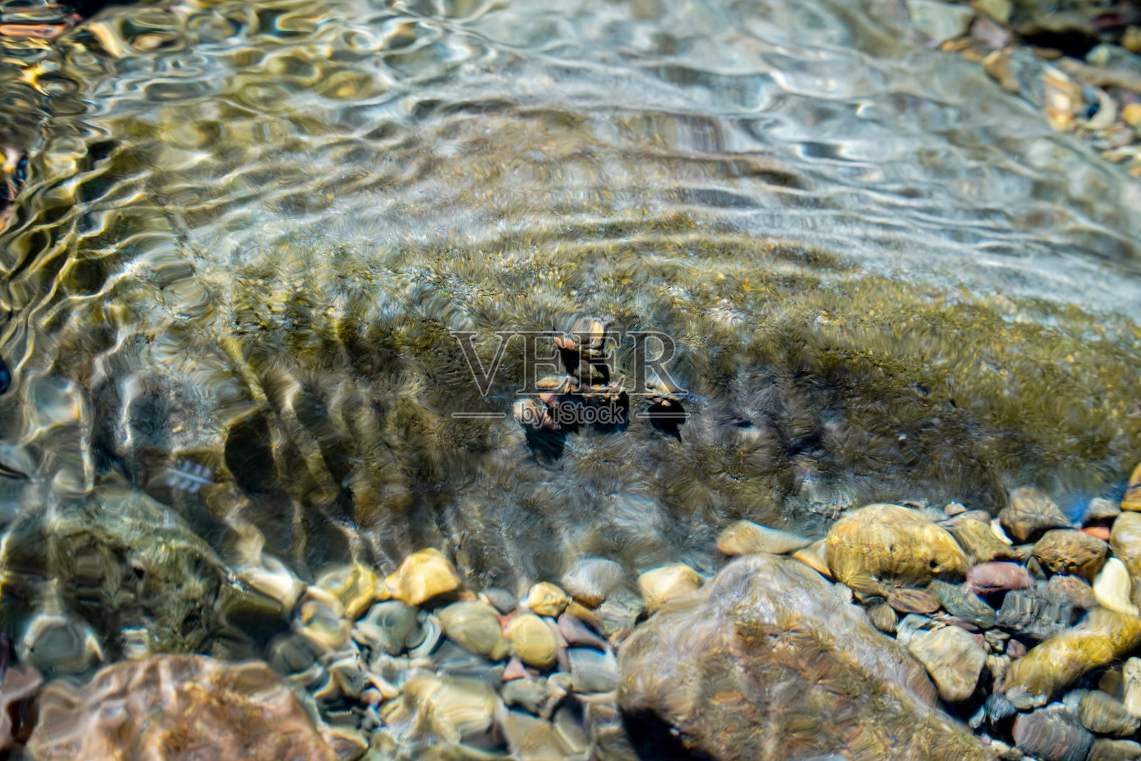 水流冲刷着岩石，岩石下面有昆虫的茧照片摄影图片