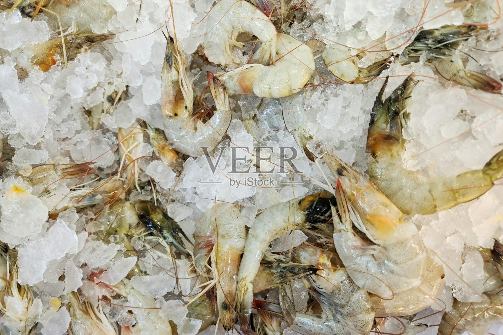 海鲜市场展出的一群裹着冰的鲜虾照片摄影图片