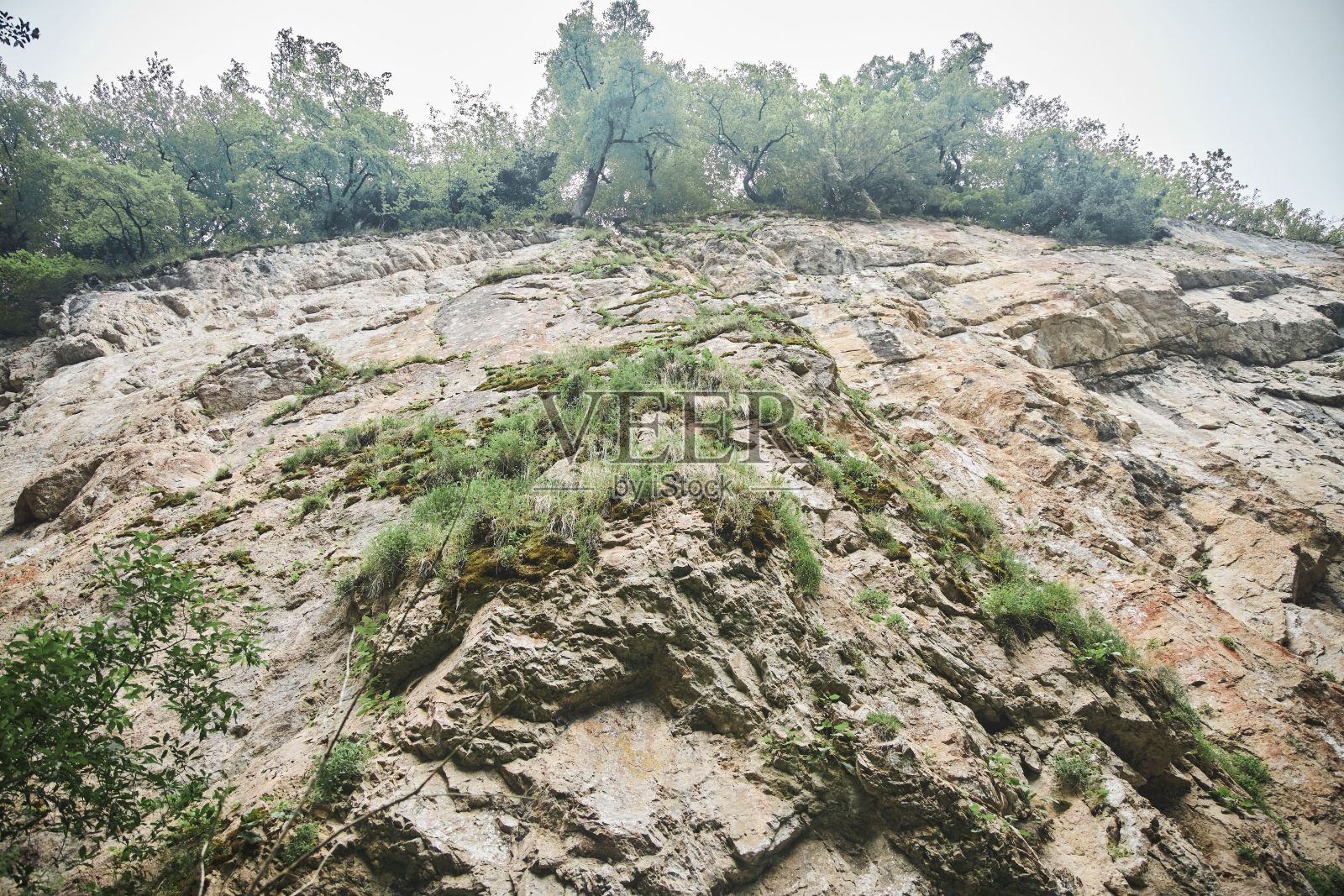 长满苔藓的高岩石。南方自然。自然景观照片摄影图片