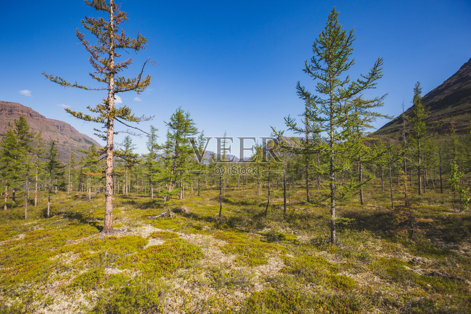 极地日的Putorana高原，泰米尔。俄罗斯照片摄影图片