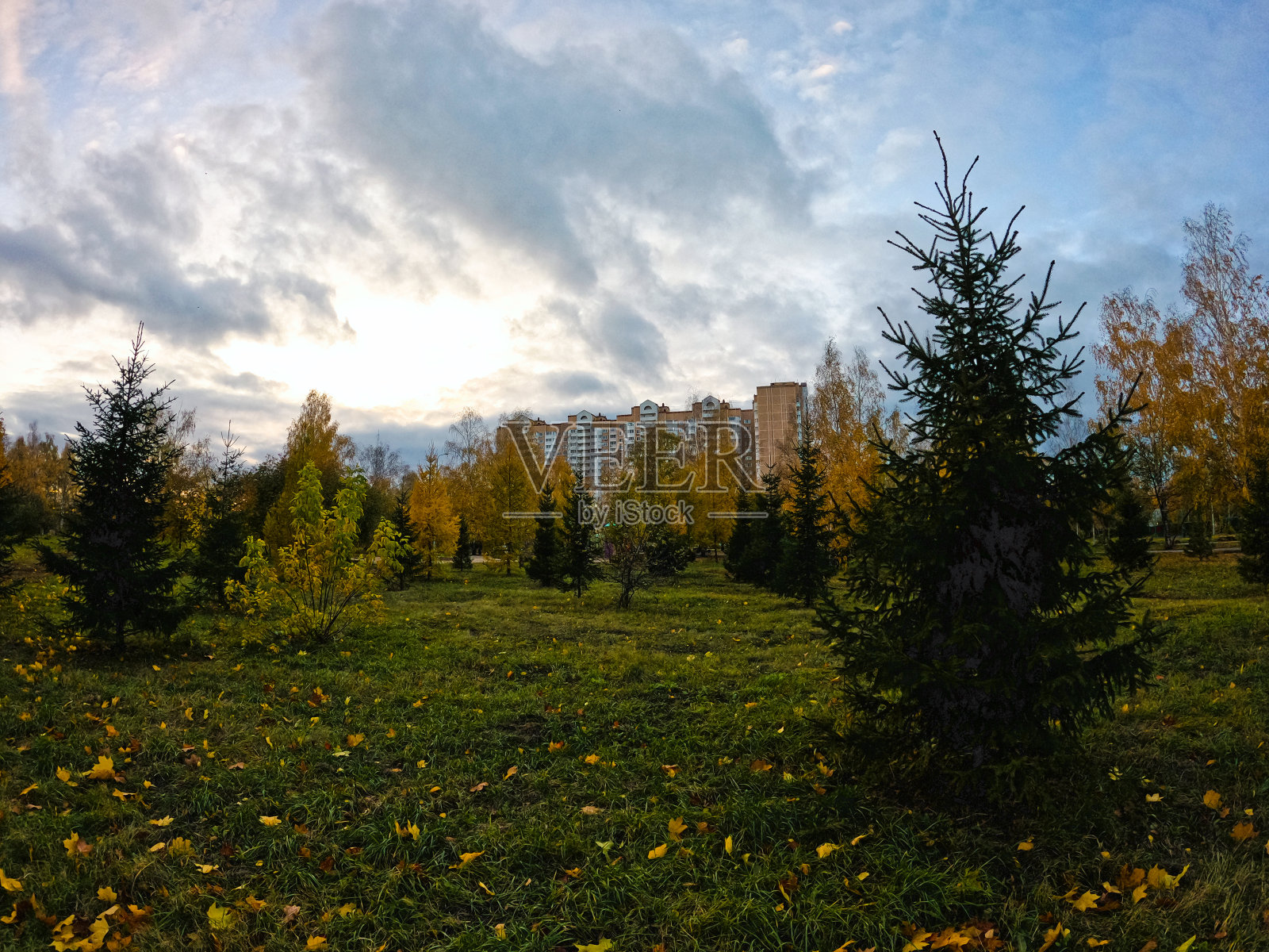 街景建筑景观自然植物照片摄影图片