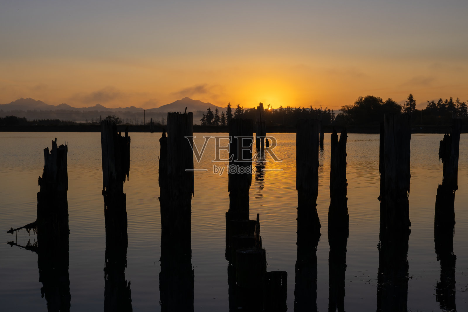 斯诺霍米什河三角洲的黎明照片摄影图片