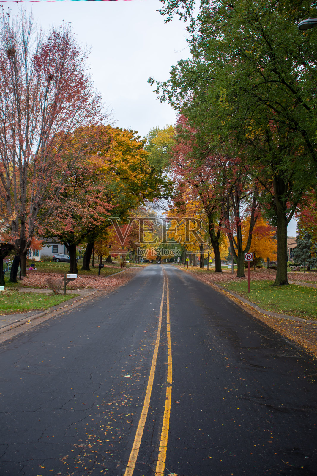 Otono照片摄影图片