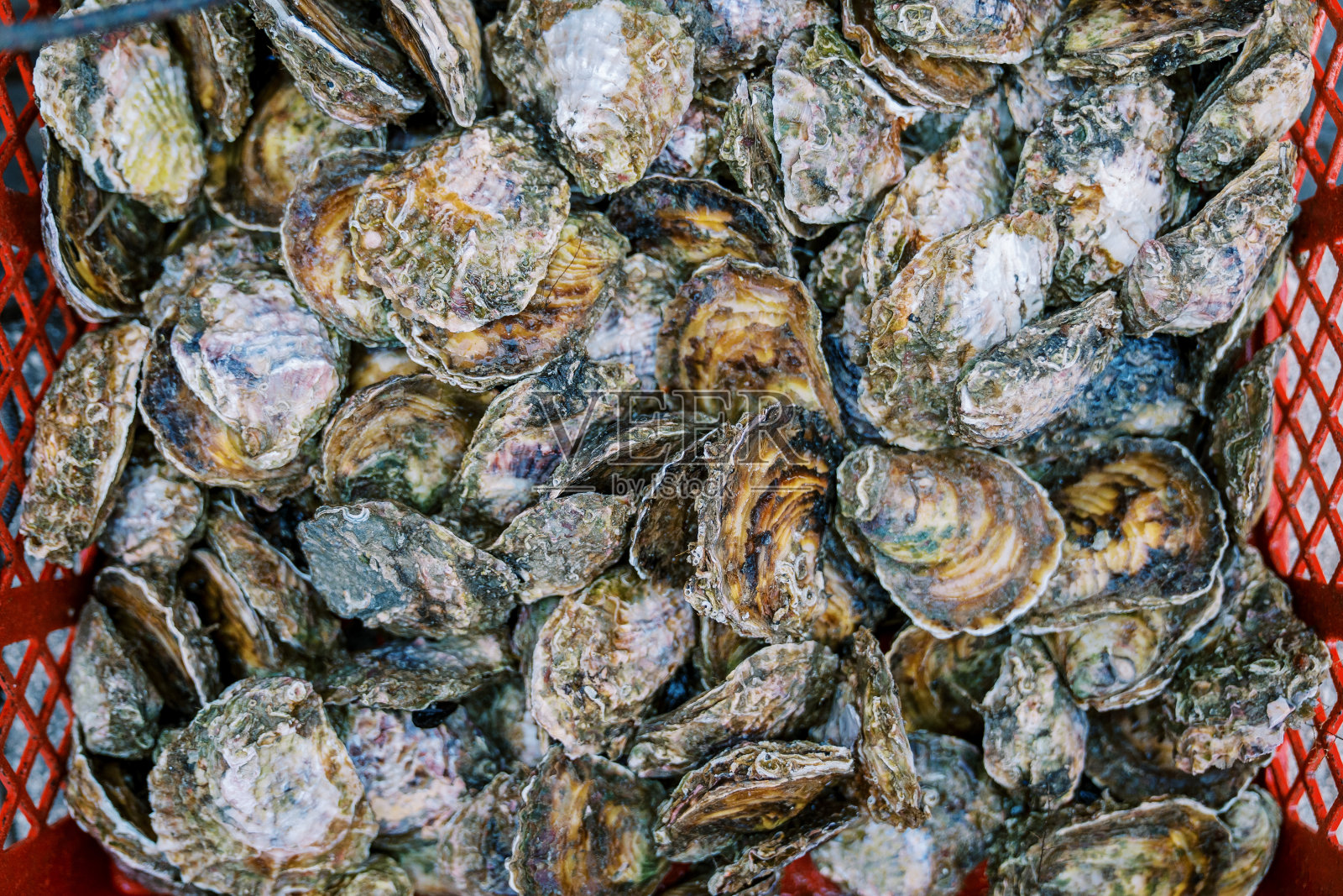 新鲜的贻贝躺在一个红色的塑料盒里。俯视图照片摄影图片