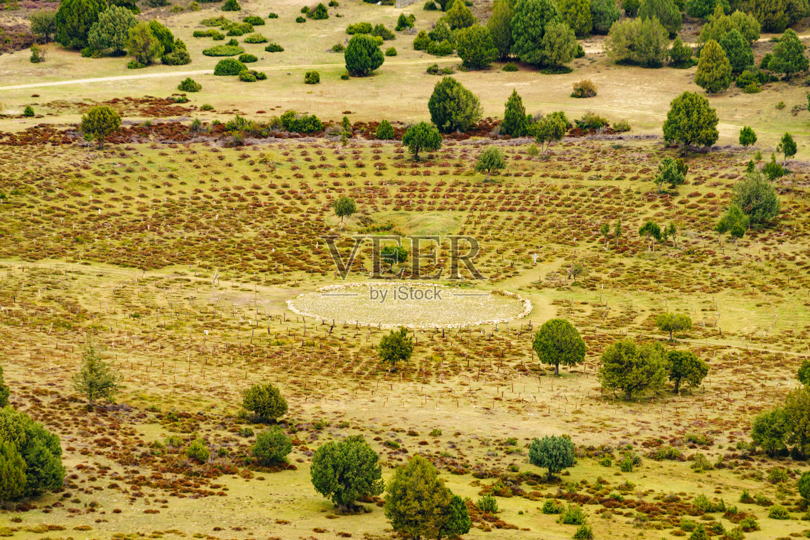 悲伤山墓地，圆形墓地，布尔戈斯西班牙照片摄影图片