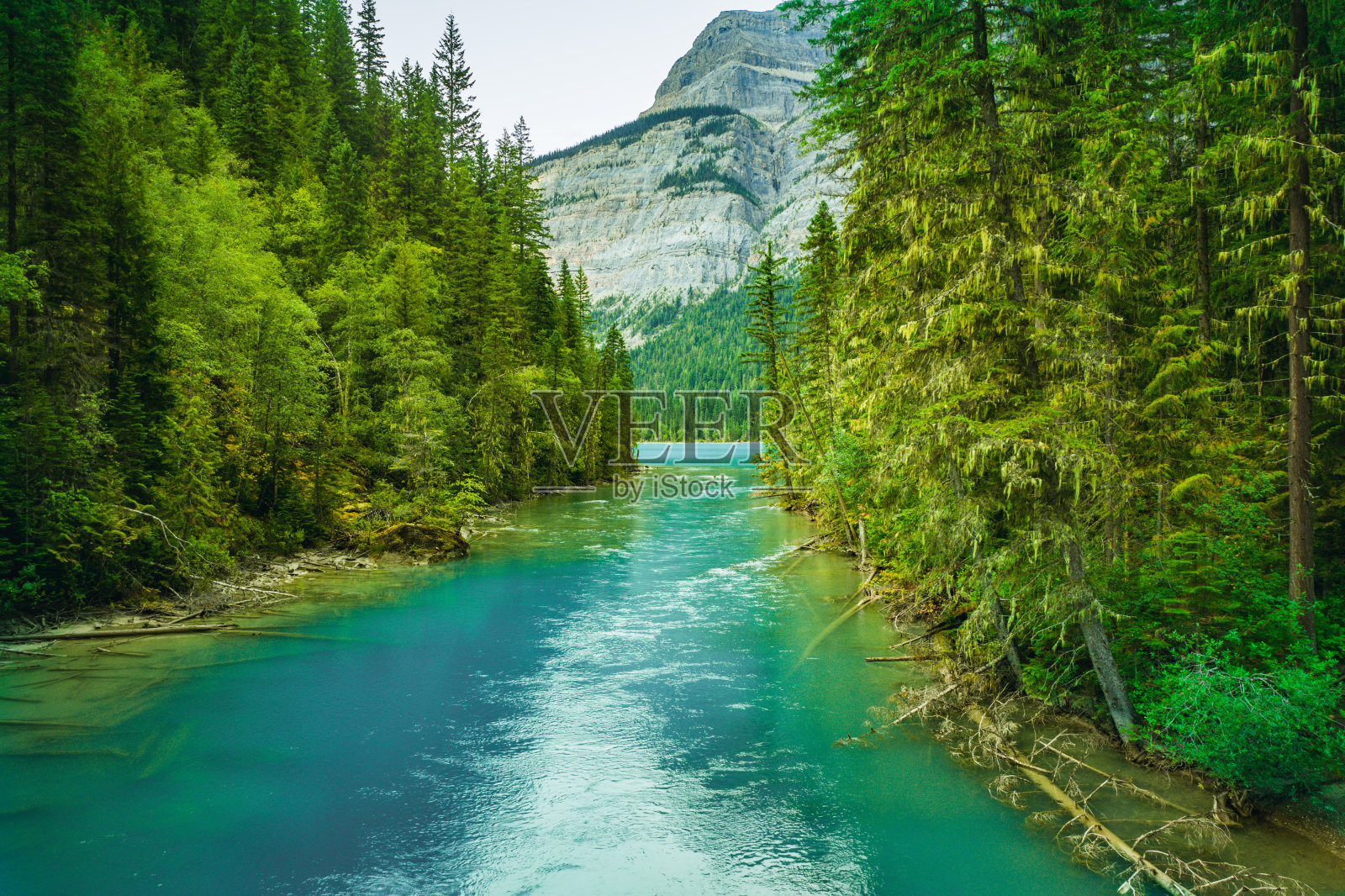 加拿大落基山脉罗布森山省立公园 Kinney 湖的鸟瞰图照片摄影图片