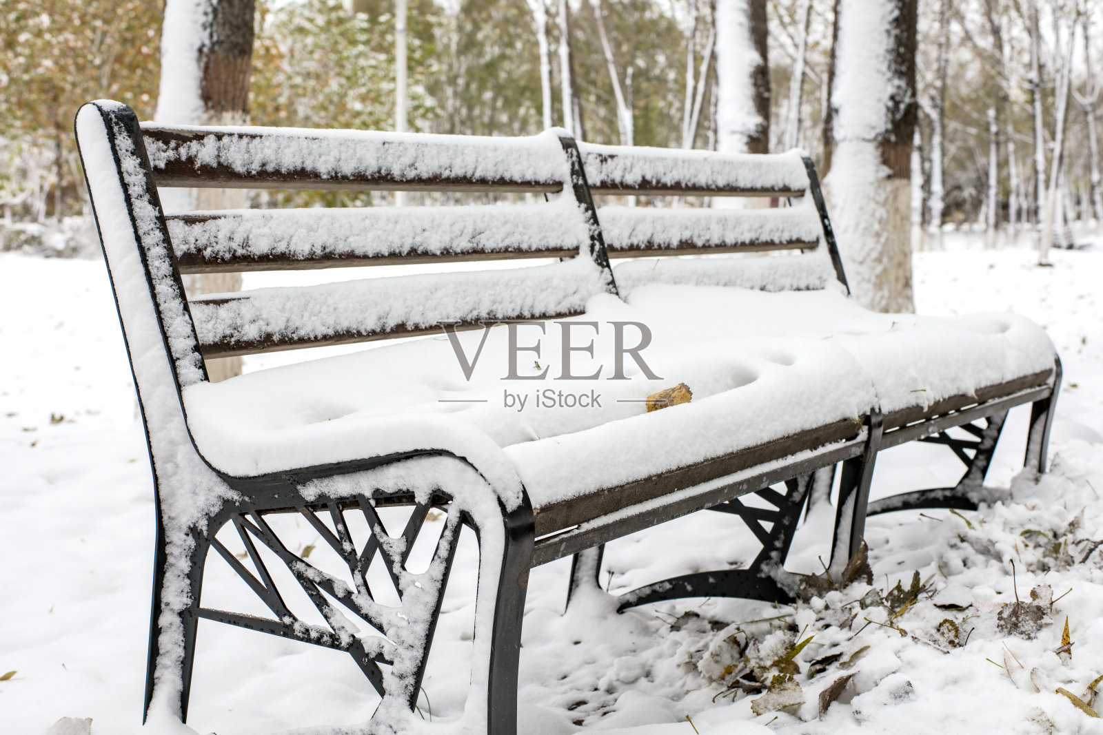 冬雪过后，树林里被雪覆盖的椅子照片摄影图片