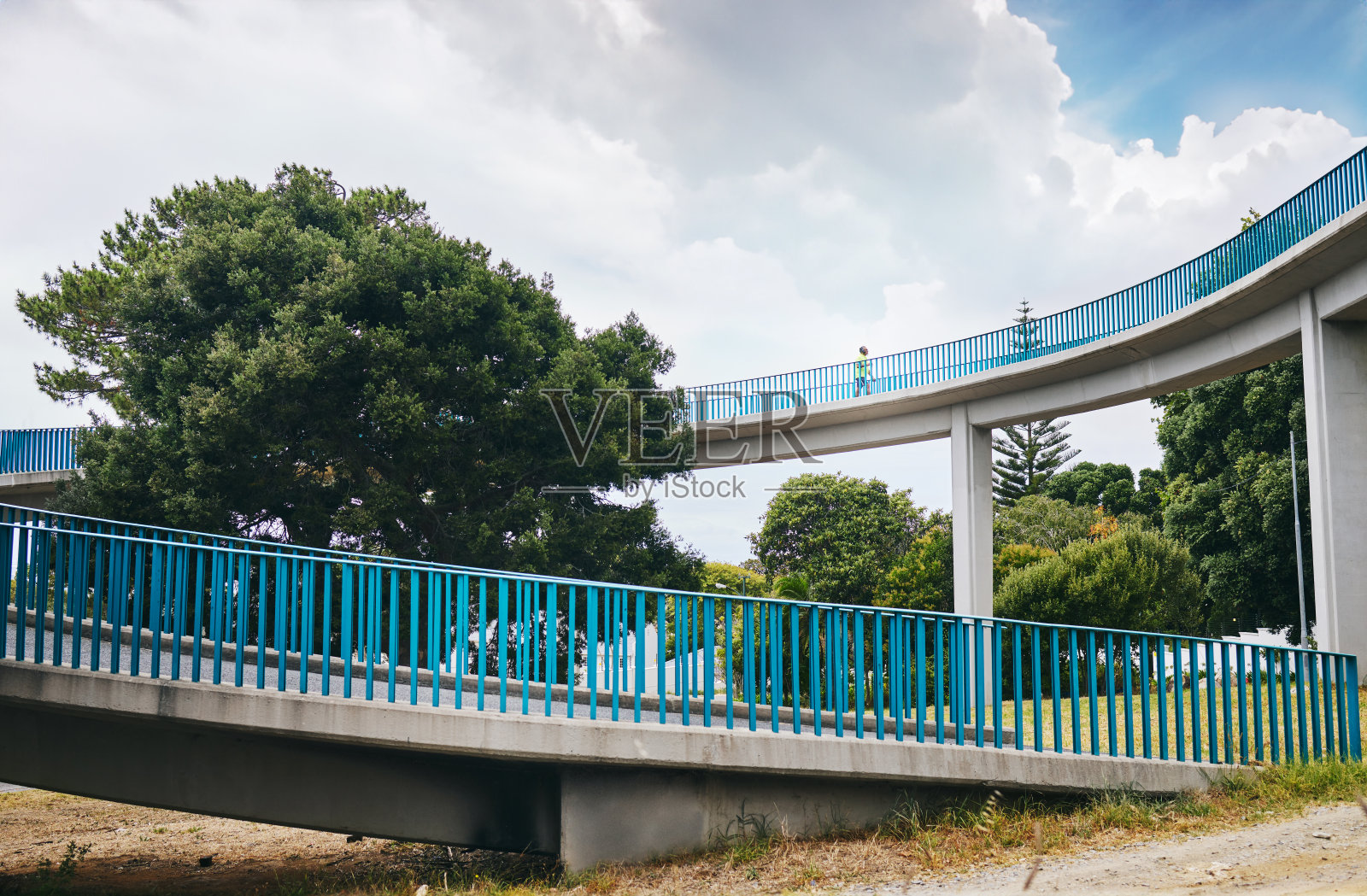 桥，景观和自然基础设施与树木的旅行，通勤或户外散步在早上。环境，交叉和建筑的道路，旅游或发展在公园照片摄影图片