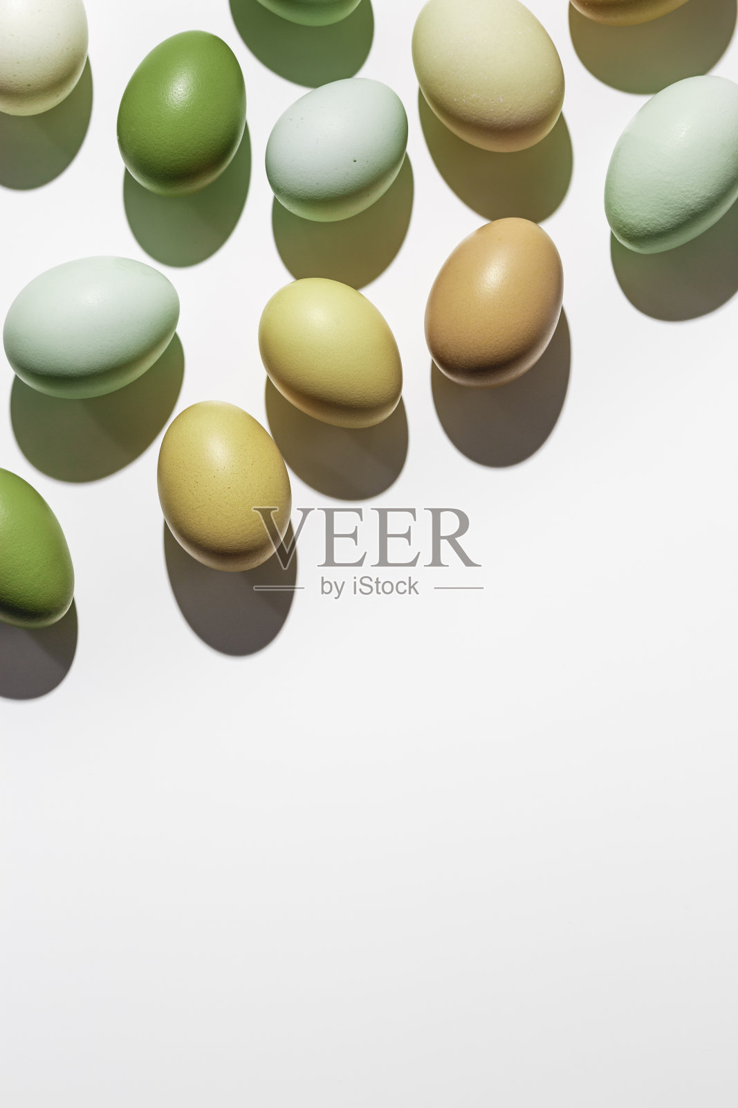 自然彩色彩蛋接近，阴影在阳光下，白光背景，复制空间。鸡蛋采用自然彩色蛋壳，食复活节概念，俯视图，美学平下照片摄影图片