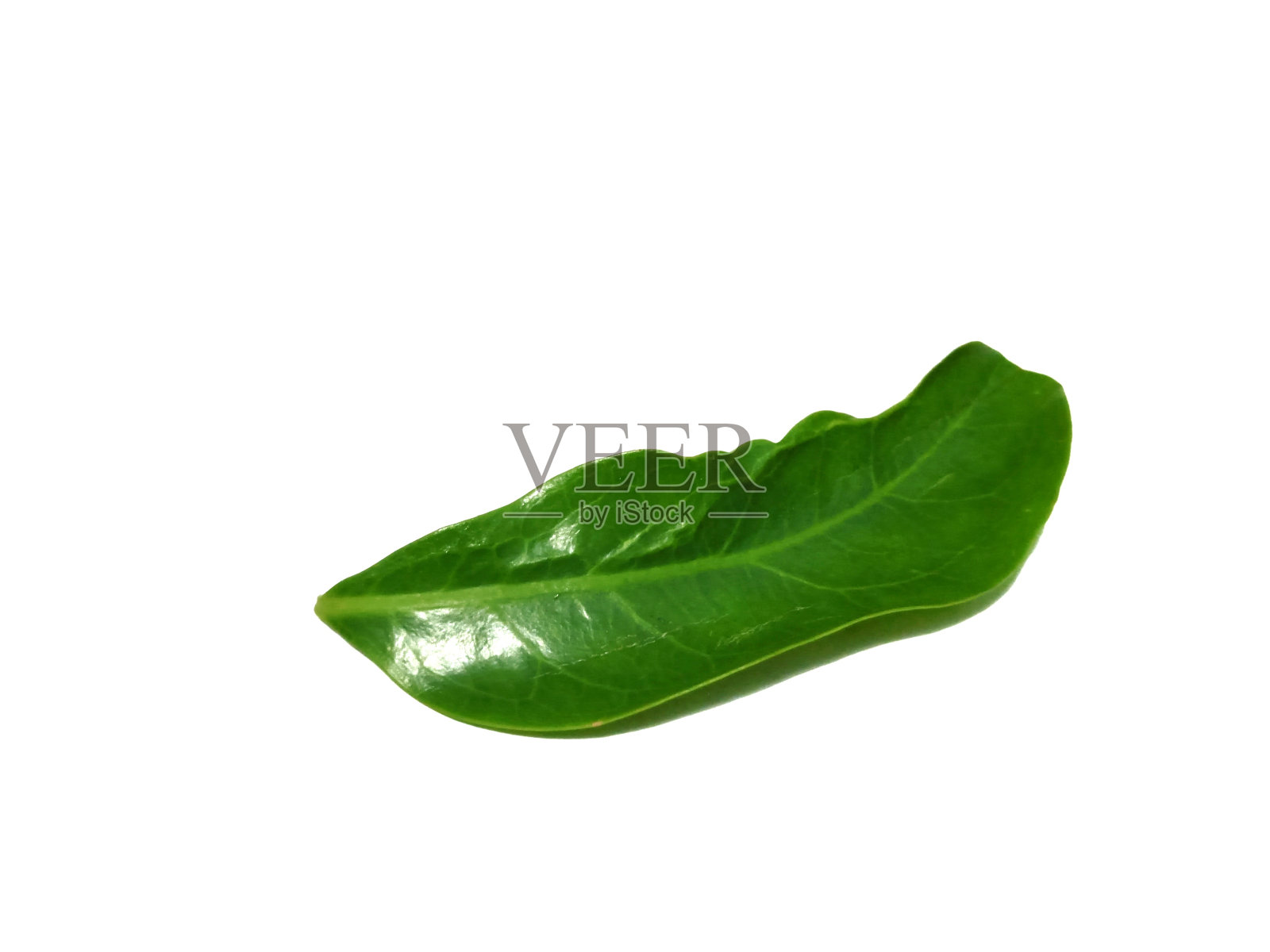 离开照片摄影图片