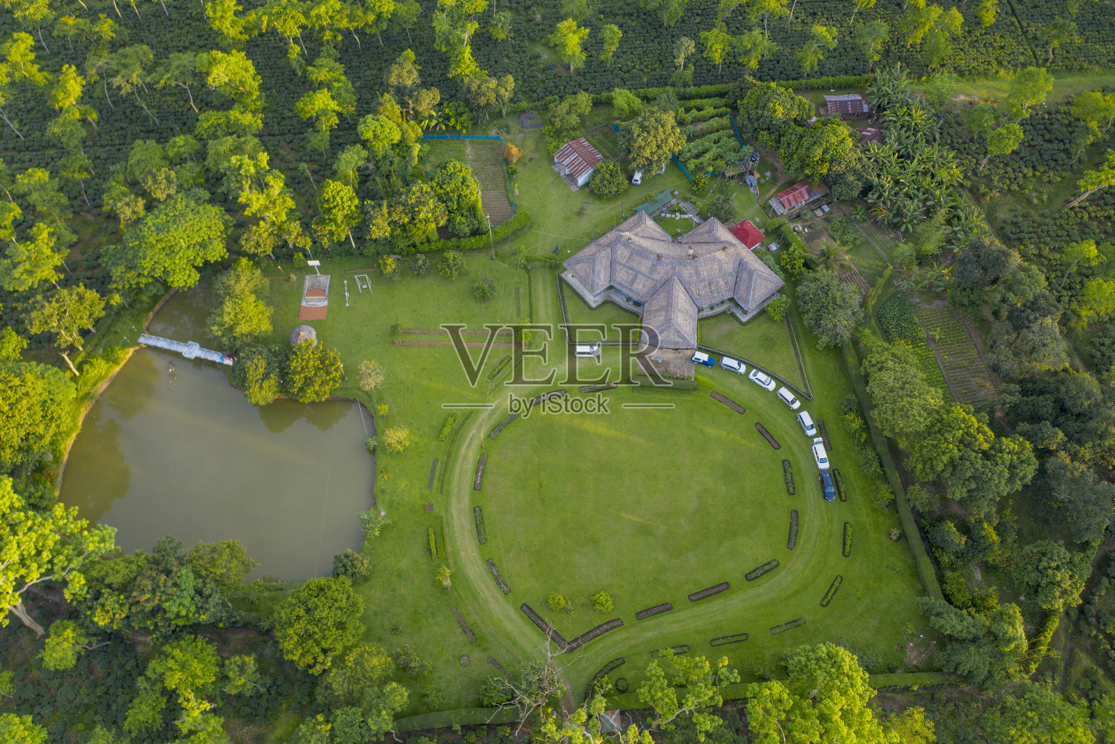 一个茶园的全景，美丽的孟加拉国绿色景观照片摄影图片