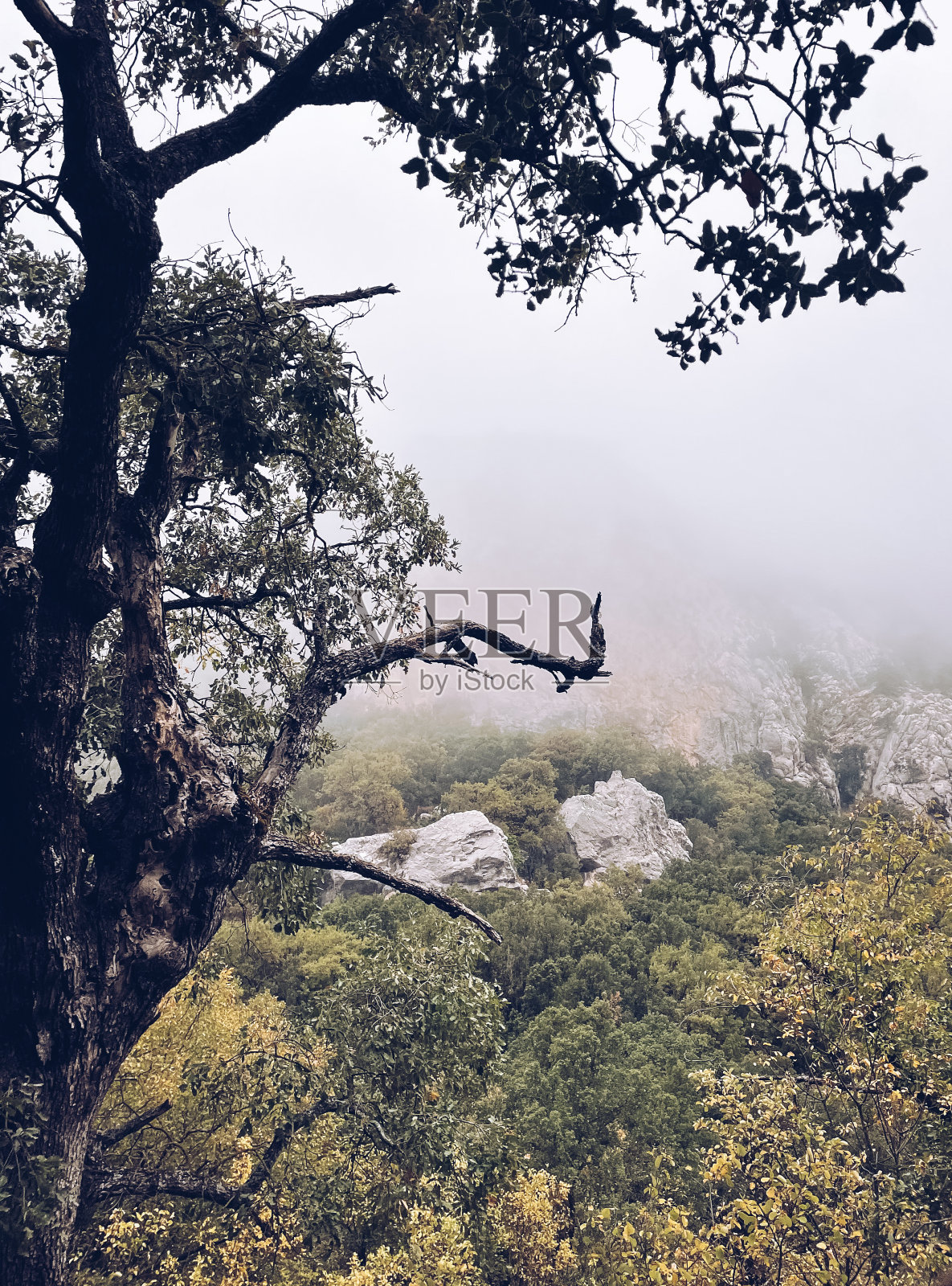 山里的秋天照片摄影图片