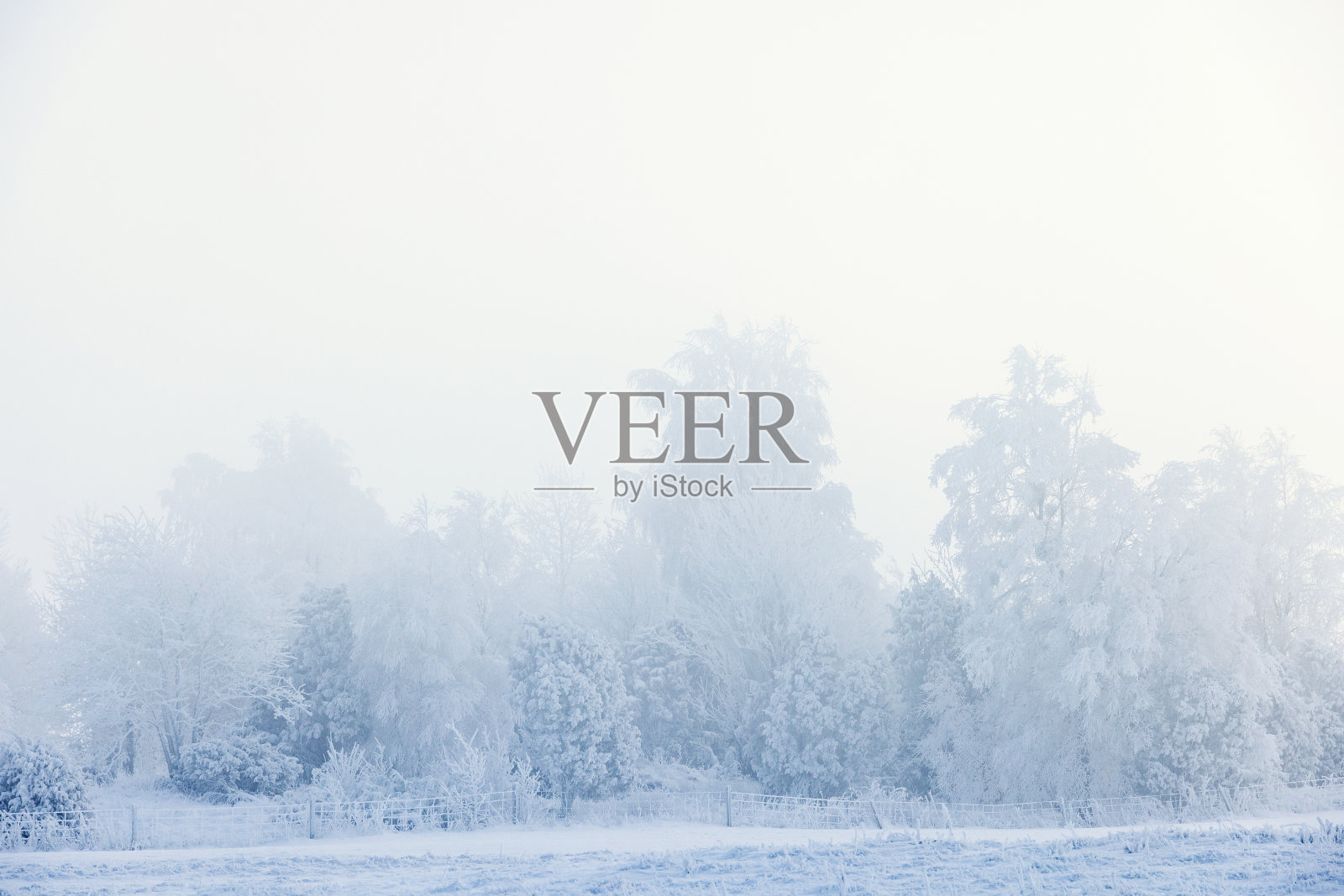 雾蒙蒙的冬日，在霜冻中的树林旁照片摄影图片