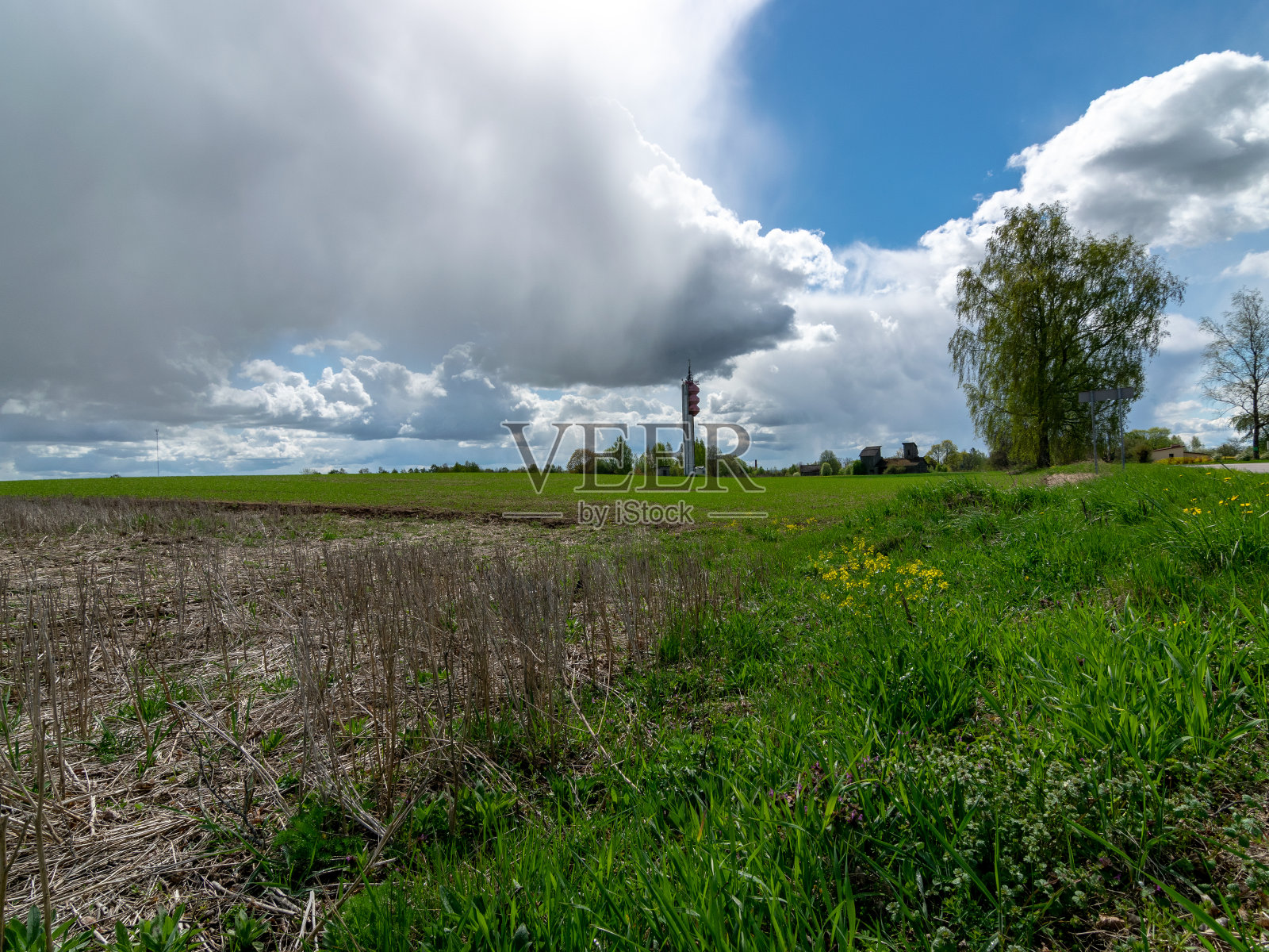 景观从灰色的田野和绿色的草地，高蓝天积云和雨云照片摄影图片