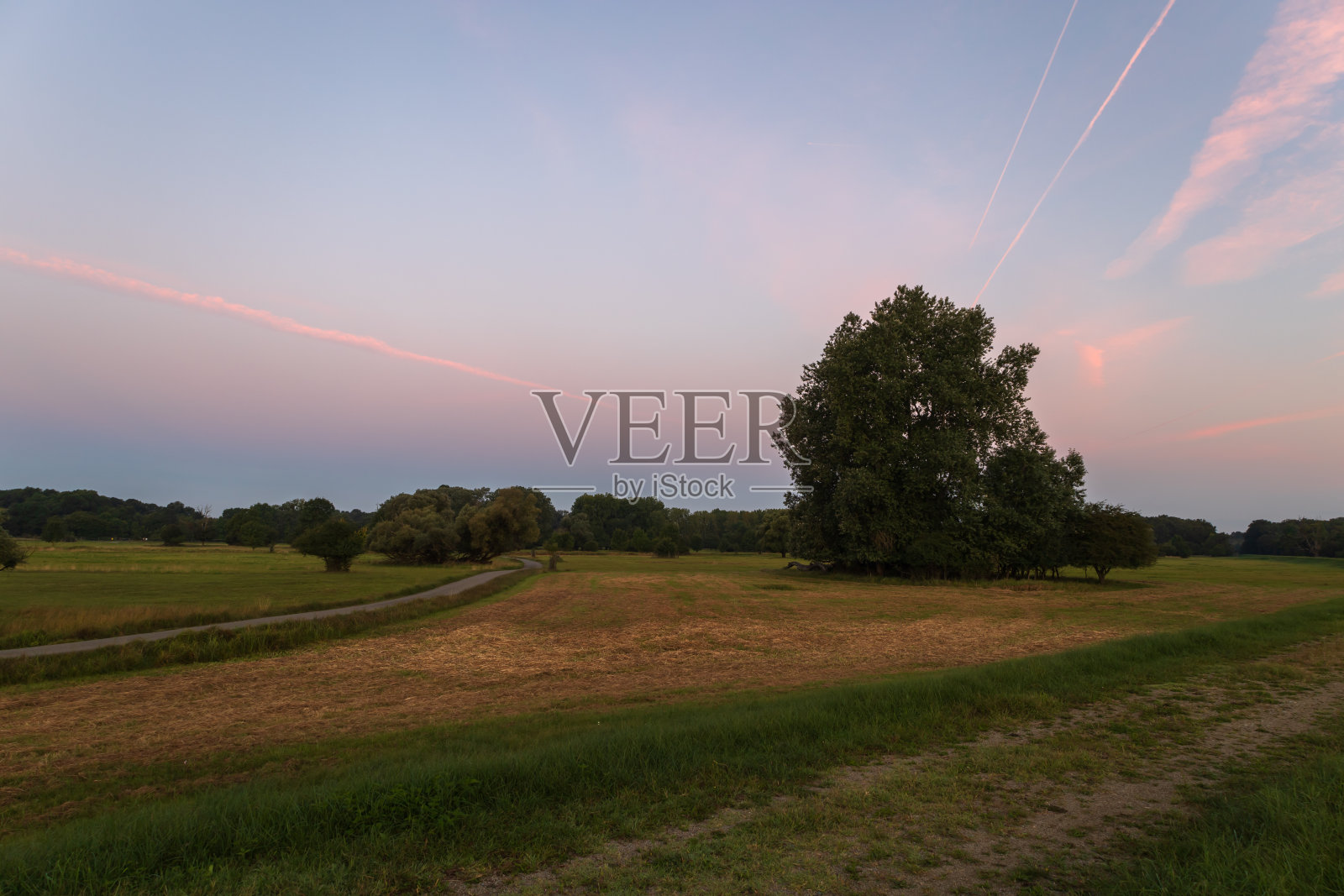 日出时美丽的秋景。清雾。波汉斯科捷克共和国欧洲照片摄影图片