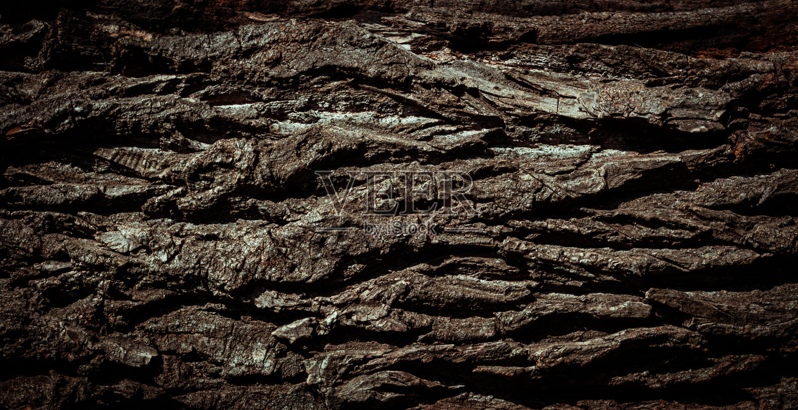 天然树皮，背景，纹理。照片摄影图片