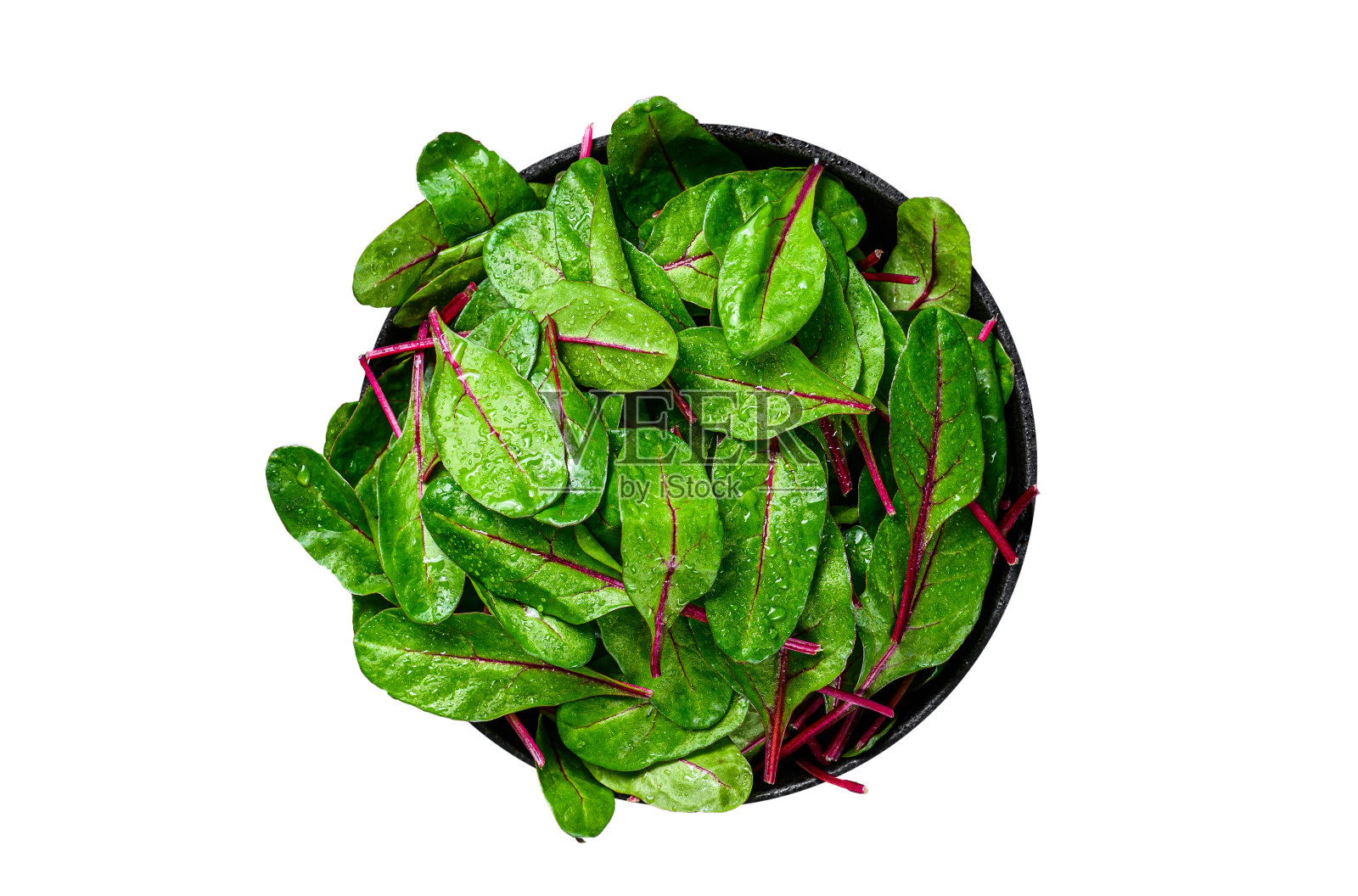 新鲜的生甜菜叶，曼金，瑞士甜菜在锅里。孤立在白色背景上。照片摄影图片