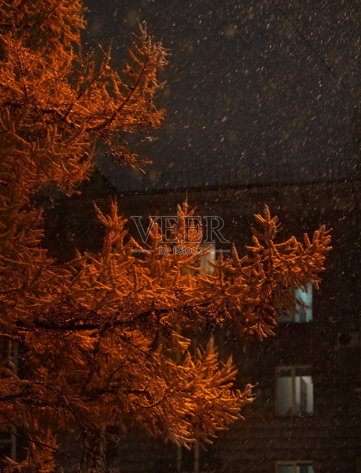 灯笼下的秋天落叶松照片摄影图片