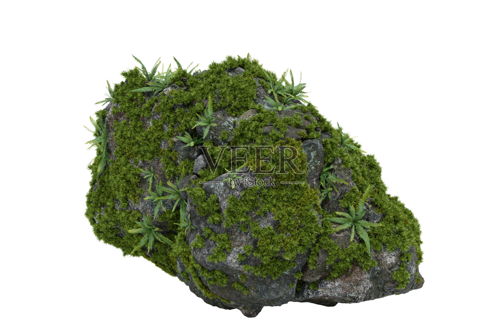 苔藓长在石头上。照片摄影图片