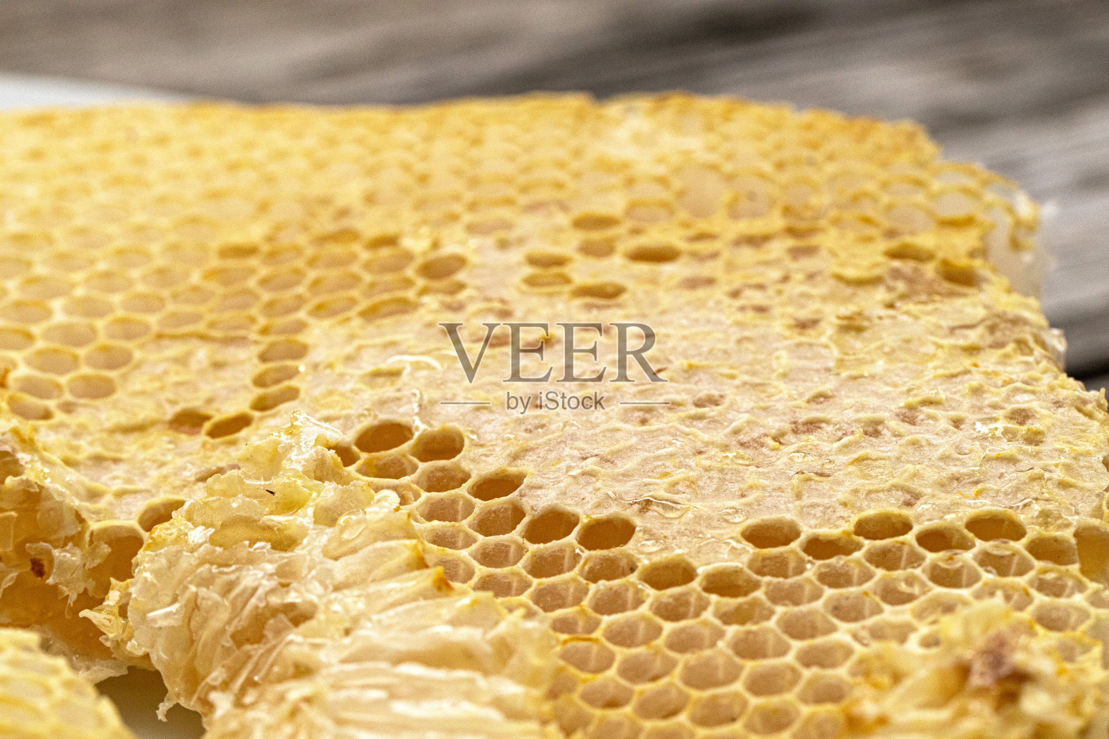 蜂窝照片摄影图片