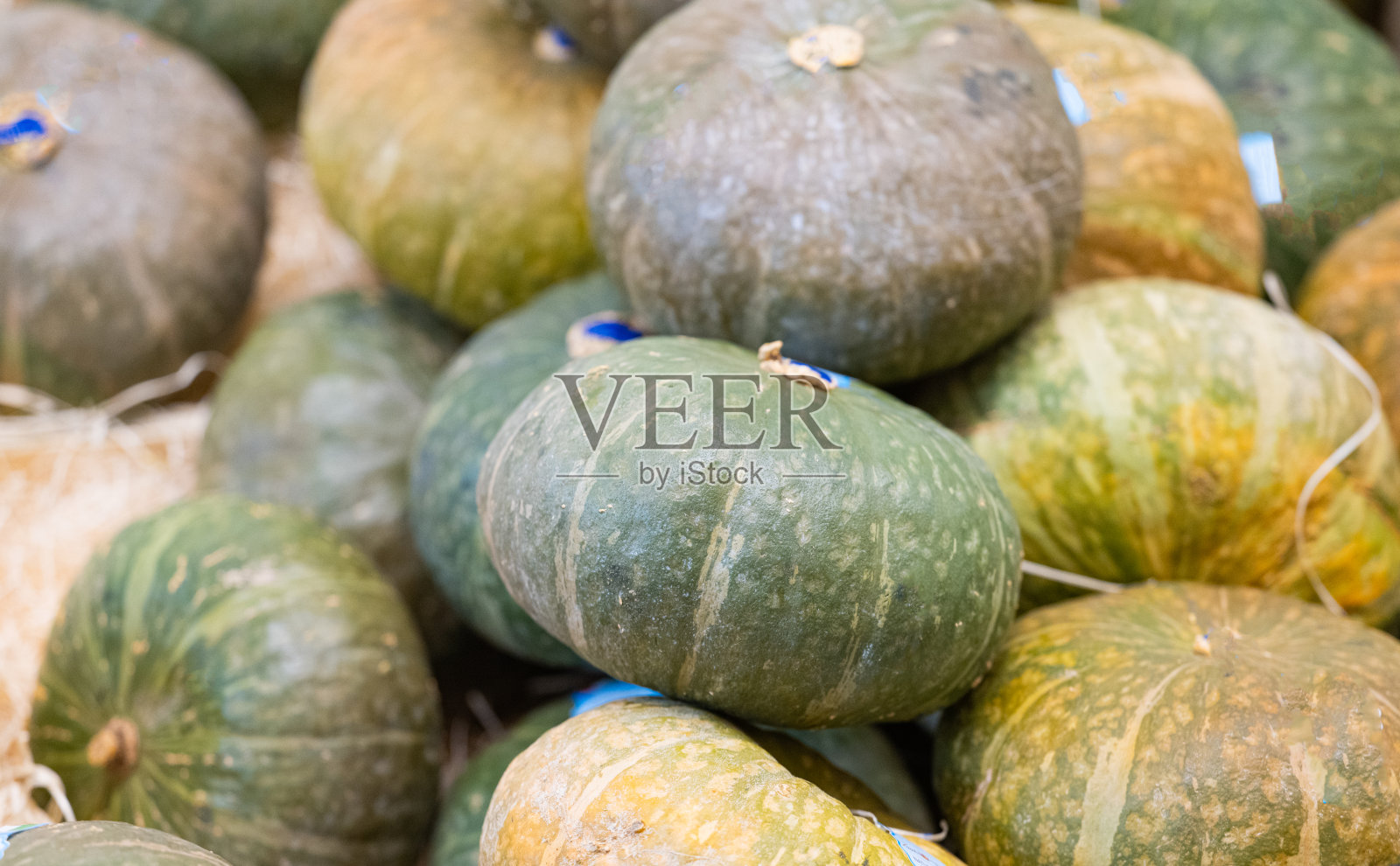 蔬菜南瓜背景照片摄影图片