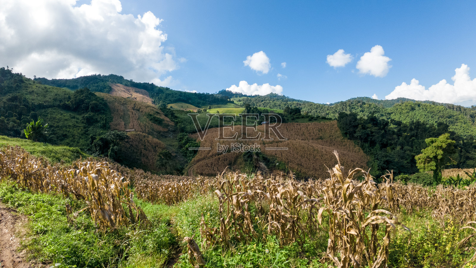 探险旅行照片，一个徒步旅行者在春天或秋天走在山上的草地上。徒步旅行照片摄影图片
